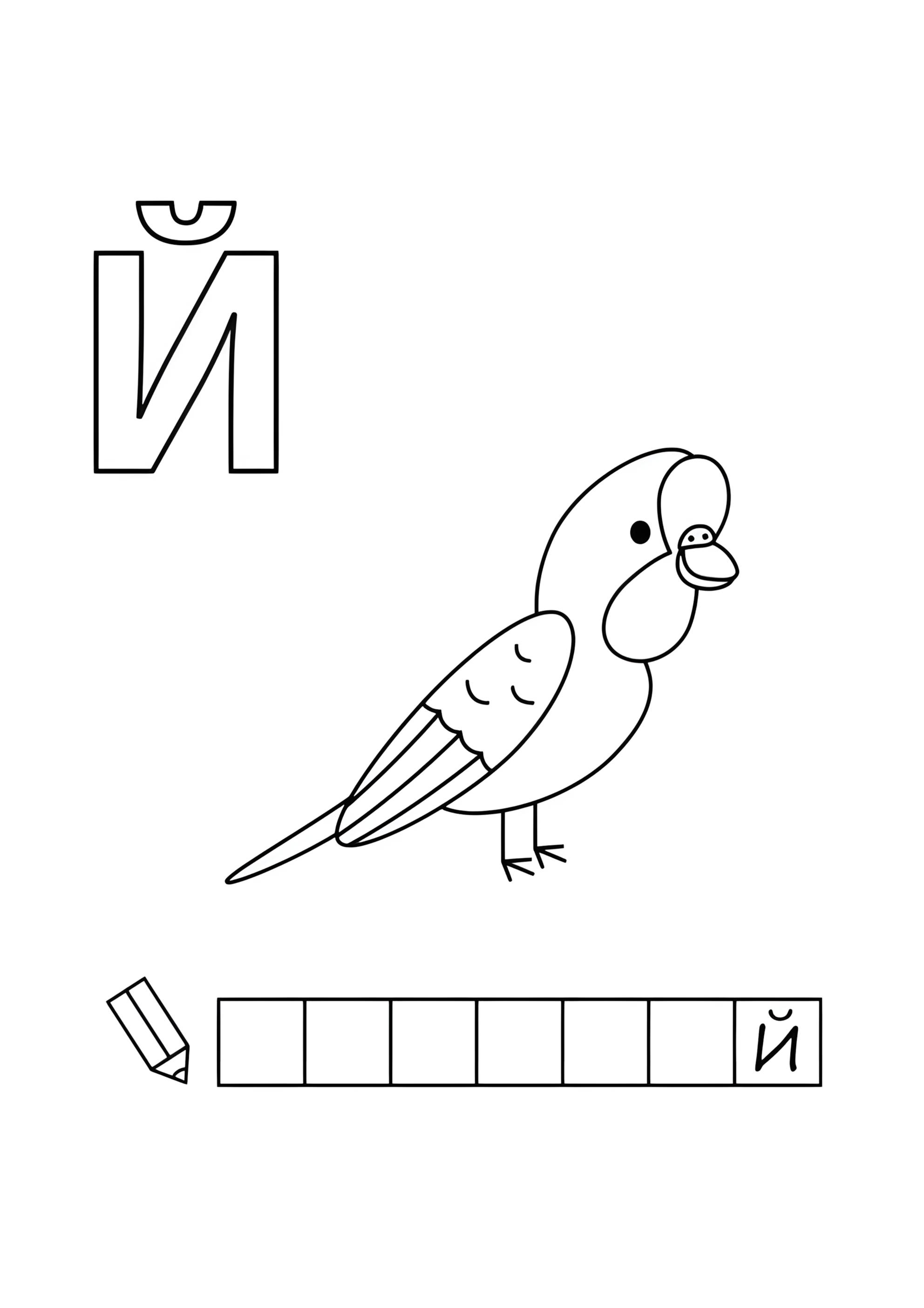 Раскраска Алфавит буква Й