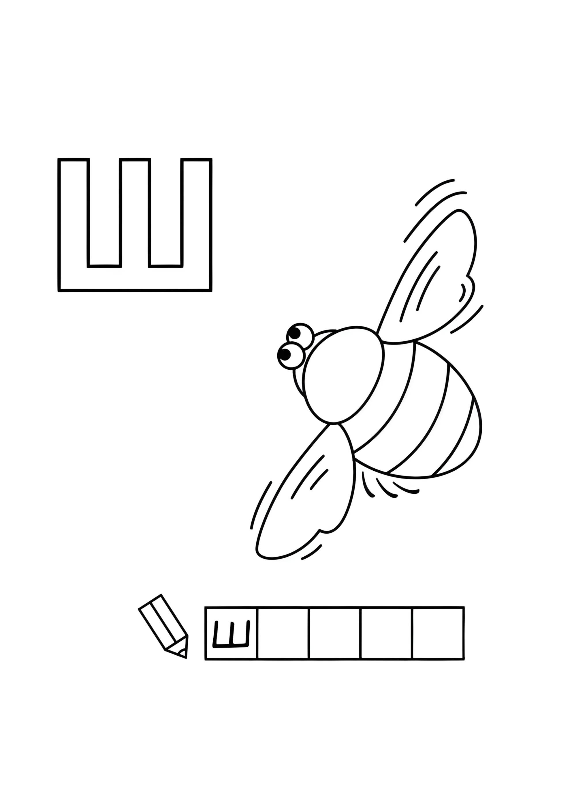 Раскраска Алфавит буква Ш