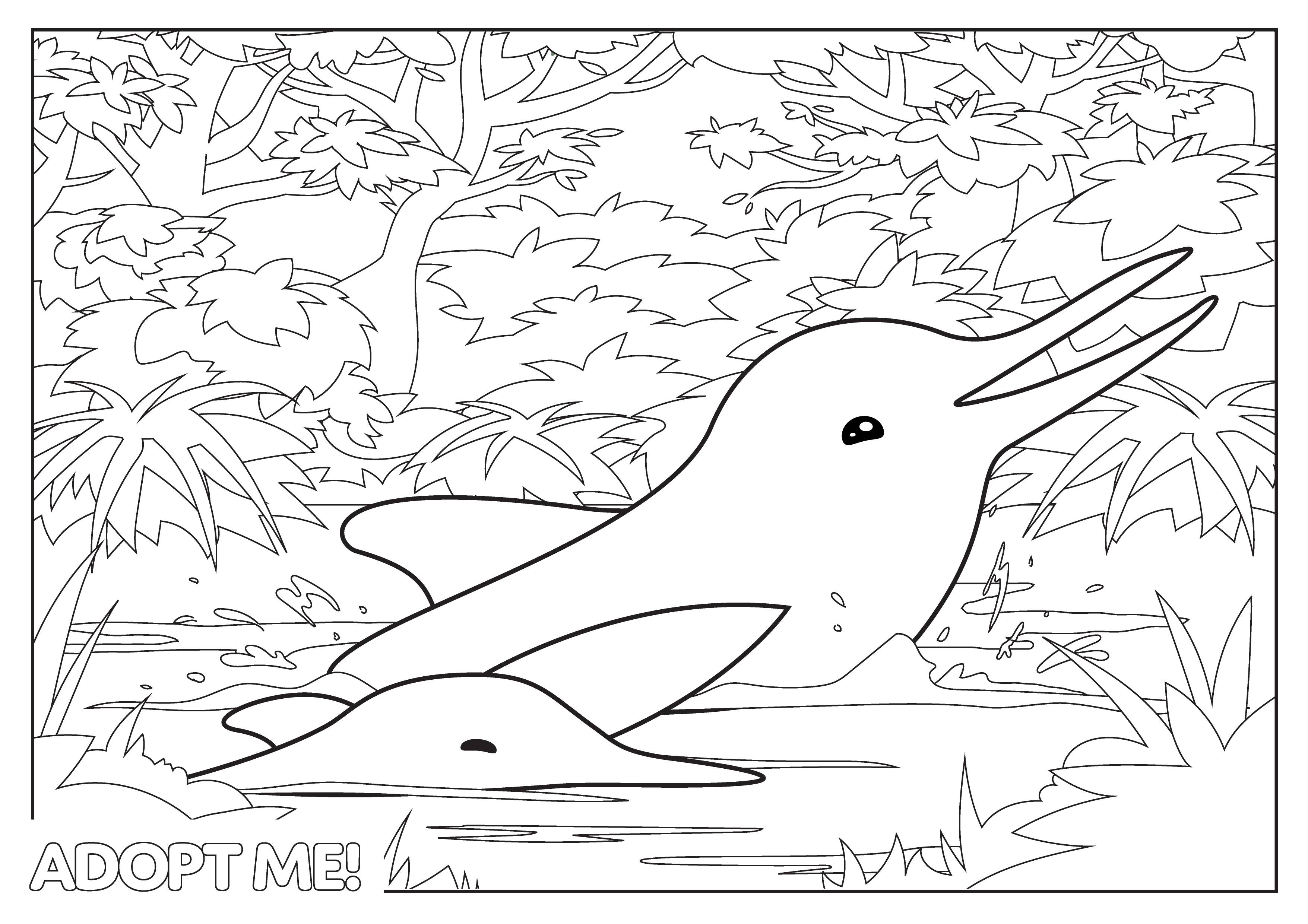 Раскраска Адопт Ми 37