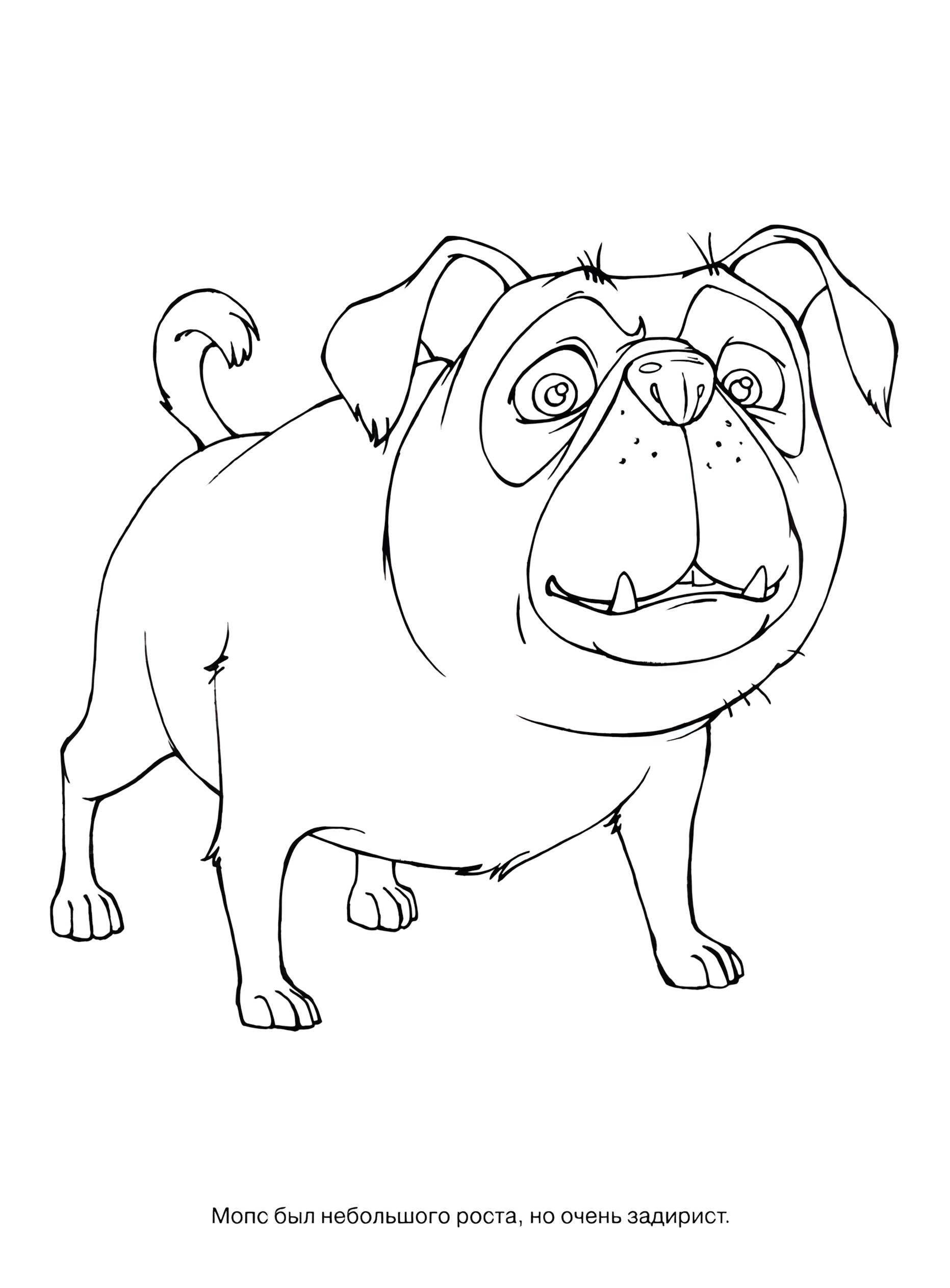 Раскраска Белка и Стрелка 11