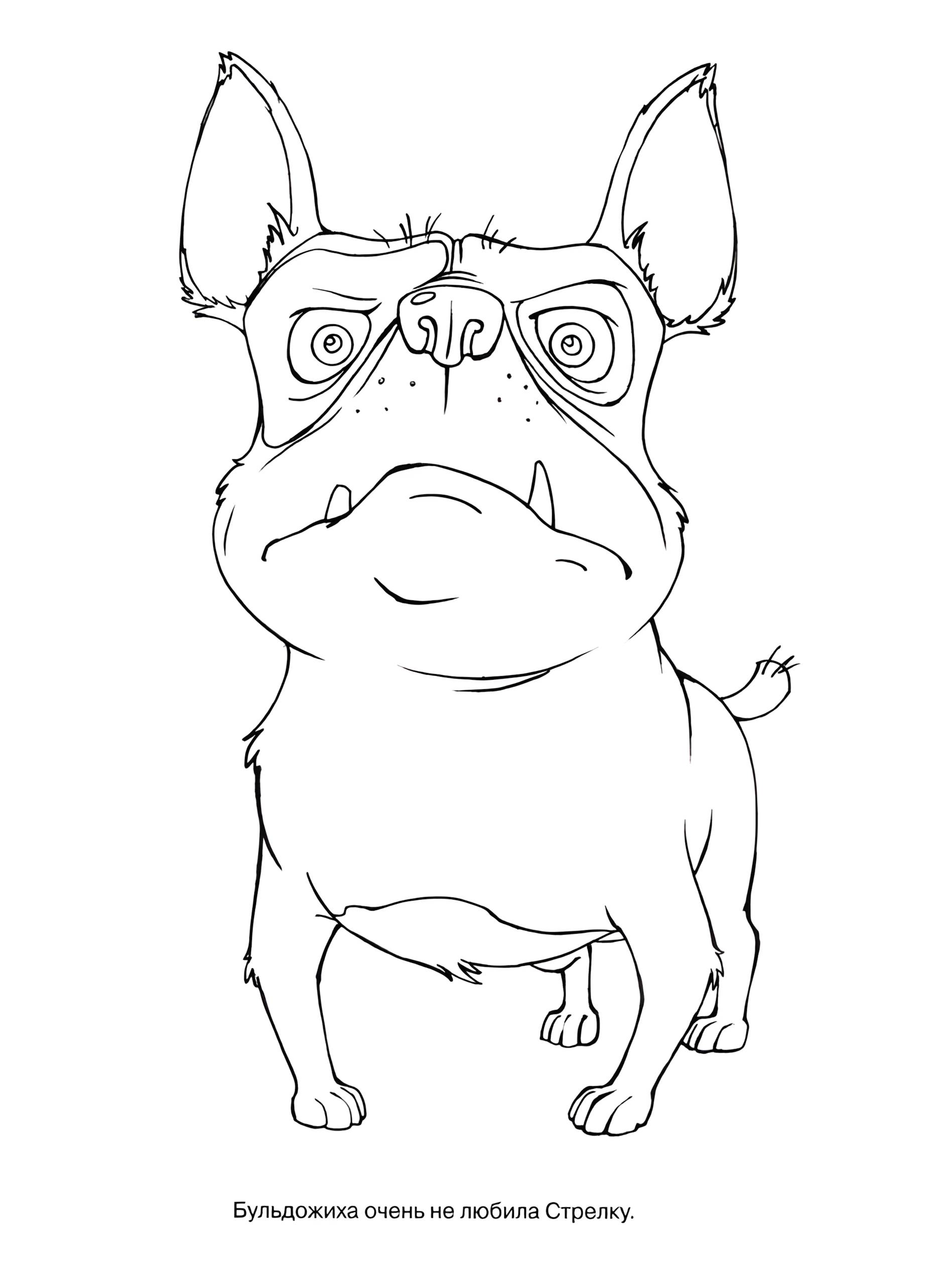 Раскраска Белка и Стрелка 12