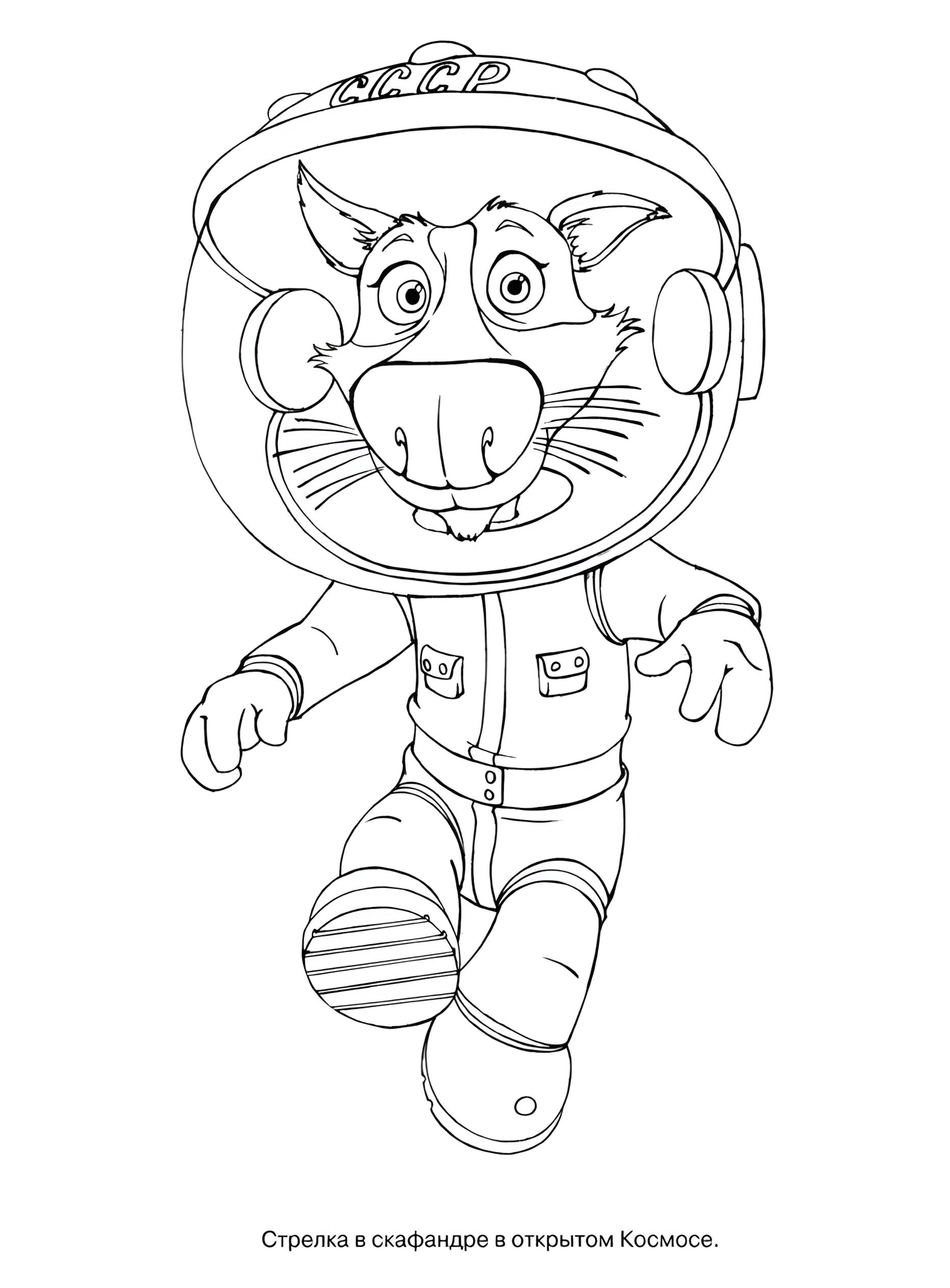 Раскраска Белка и Стрелка 13