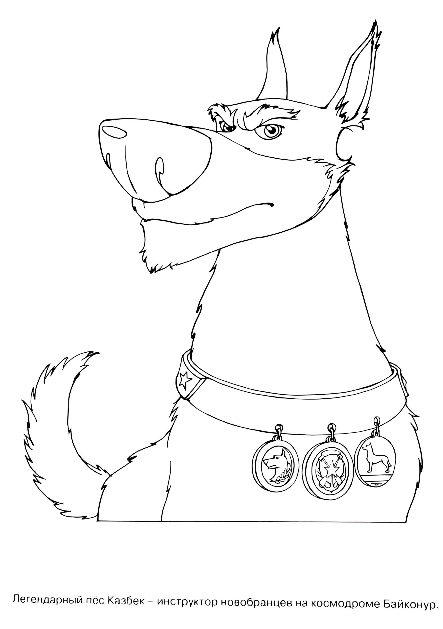 Раскраска Белка и Стрелка 25