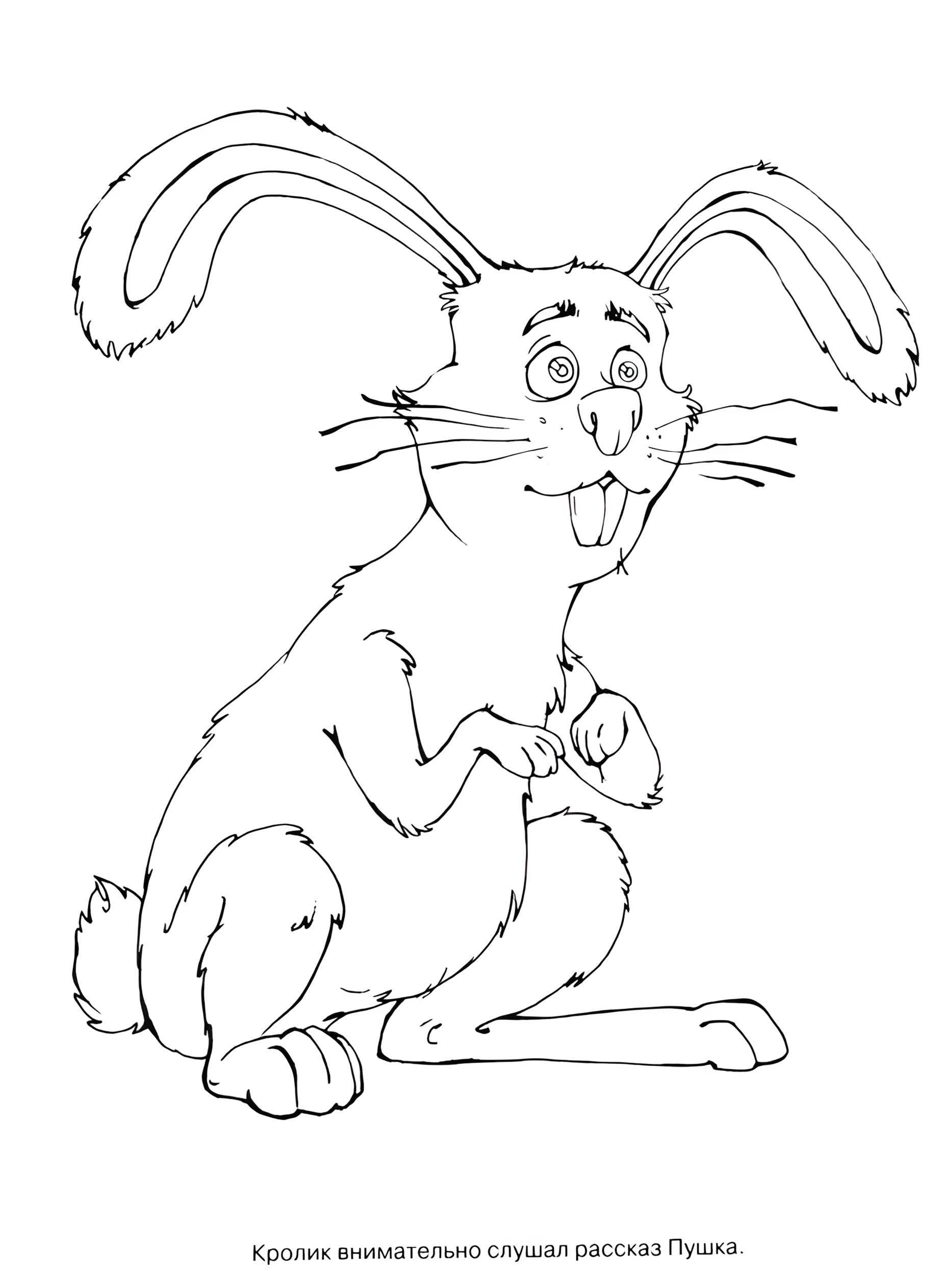 Раскраска Белка и Стрелка 26