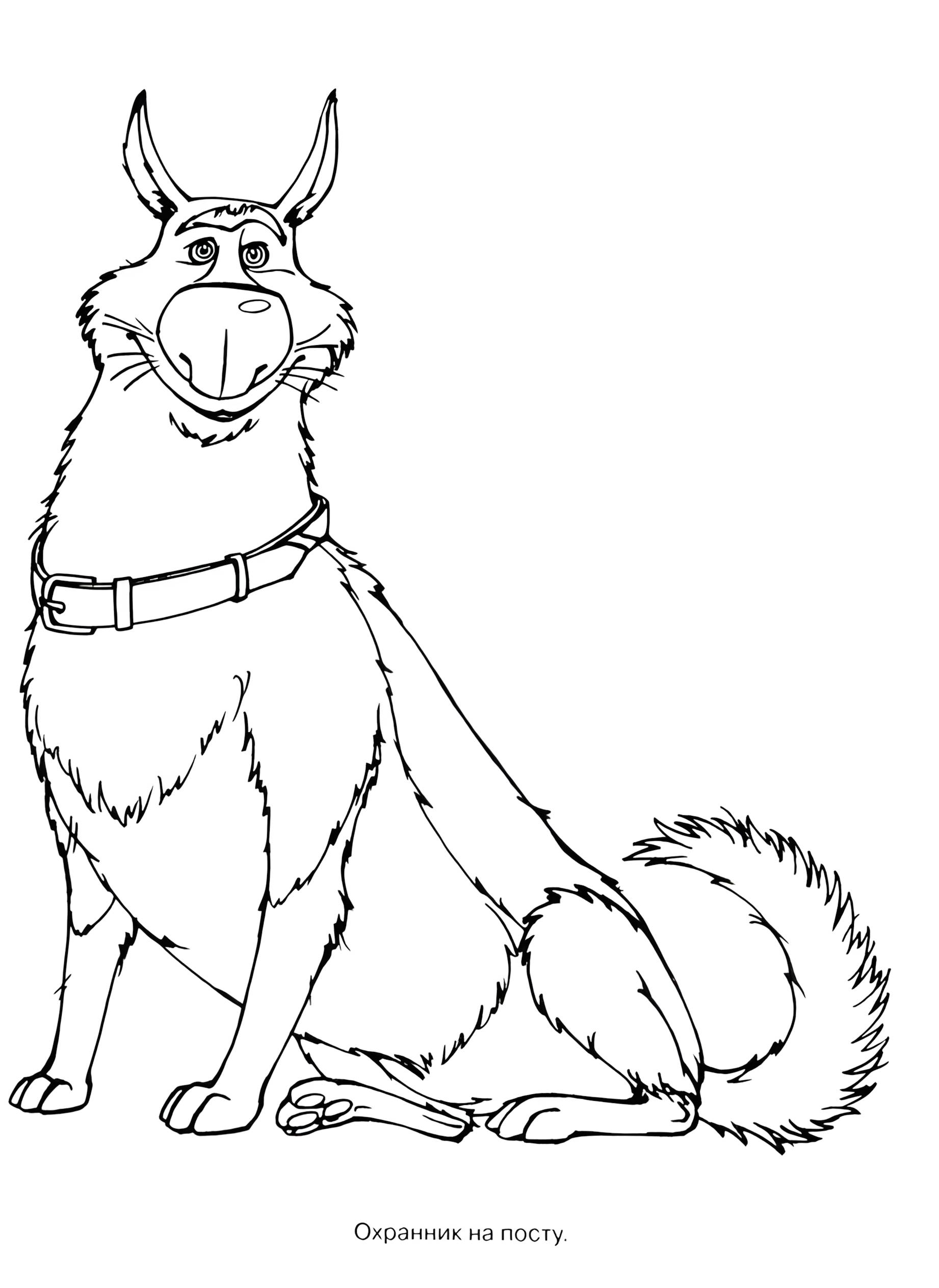 Раскраска Белка и Стрелка 27