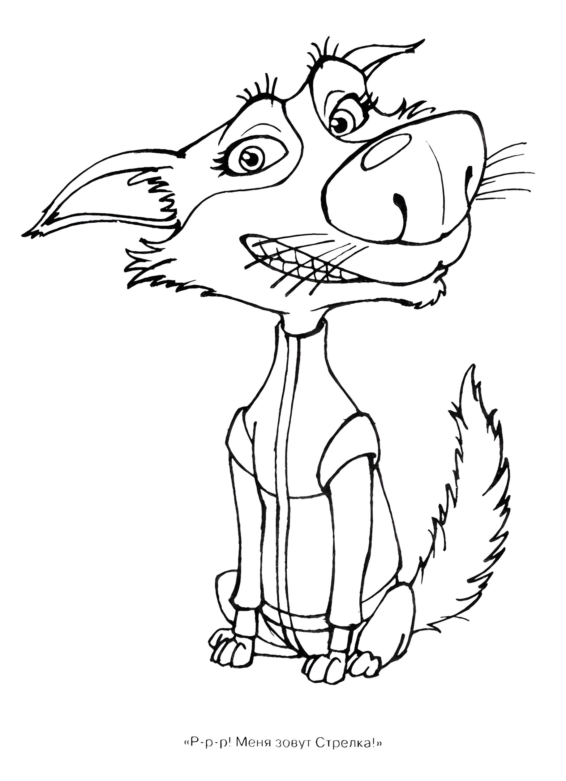 Раскраска Белка и Стрелка 31