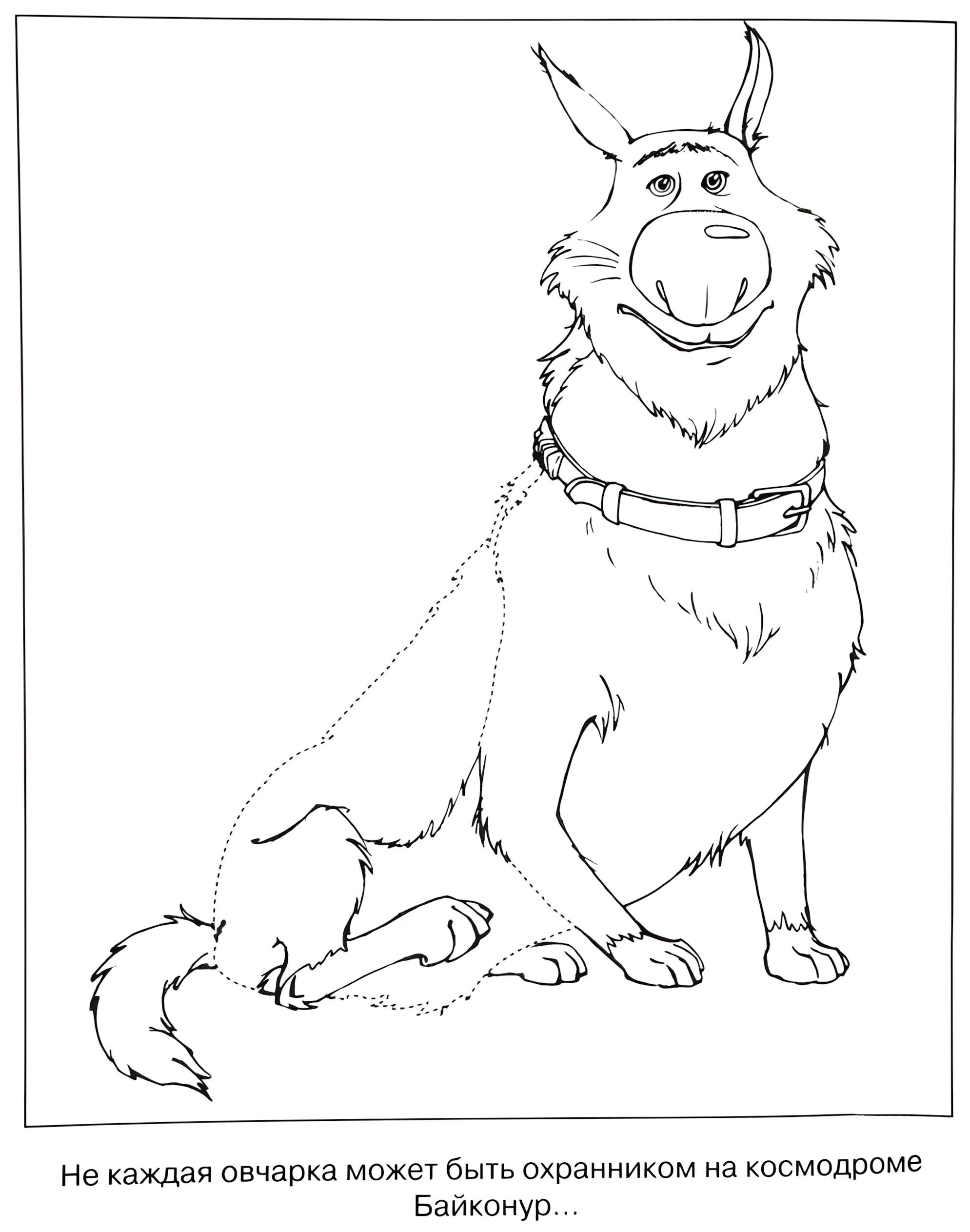 Раскраска Белка и Стрелка 32