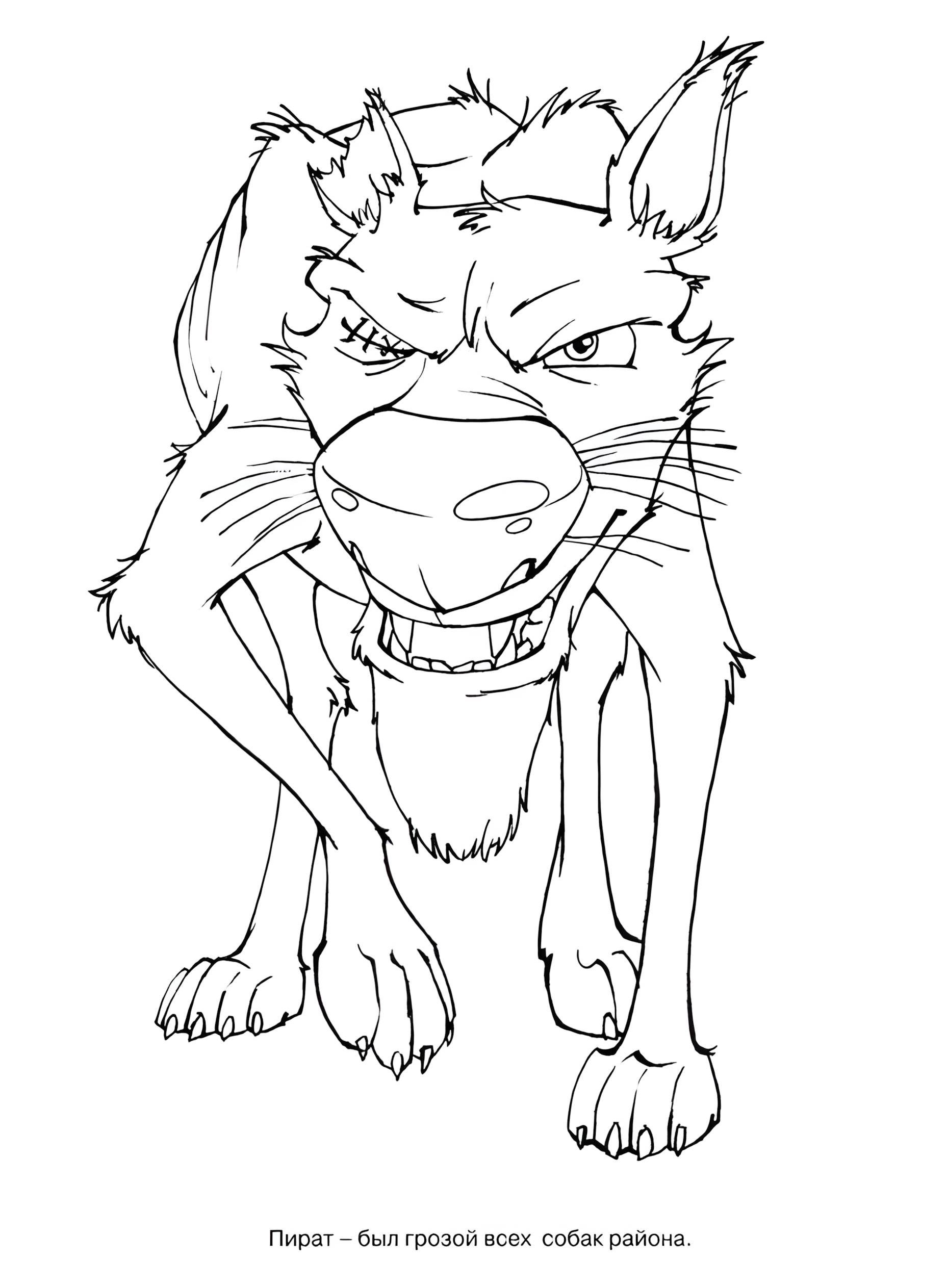 Раскраска Белка и Стрелка 8