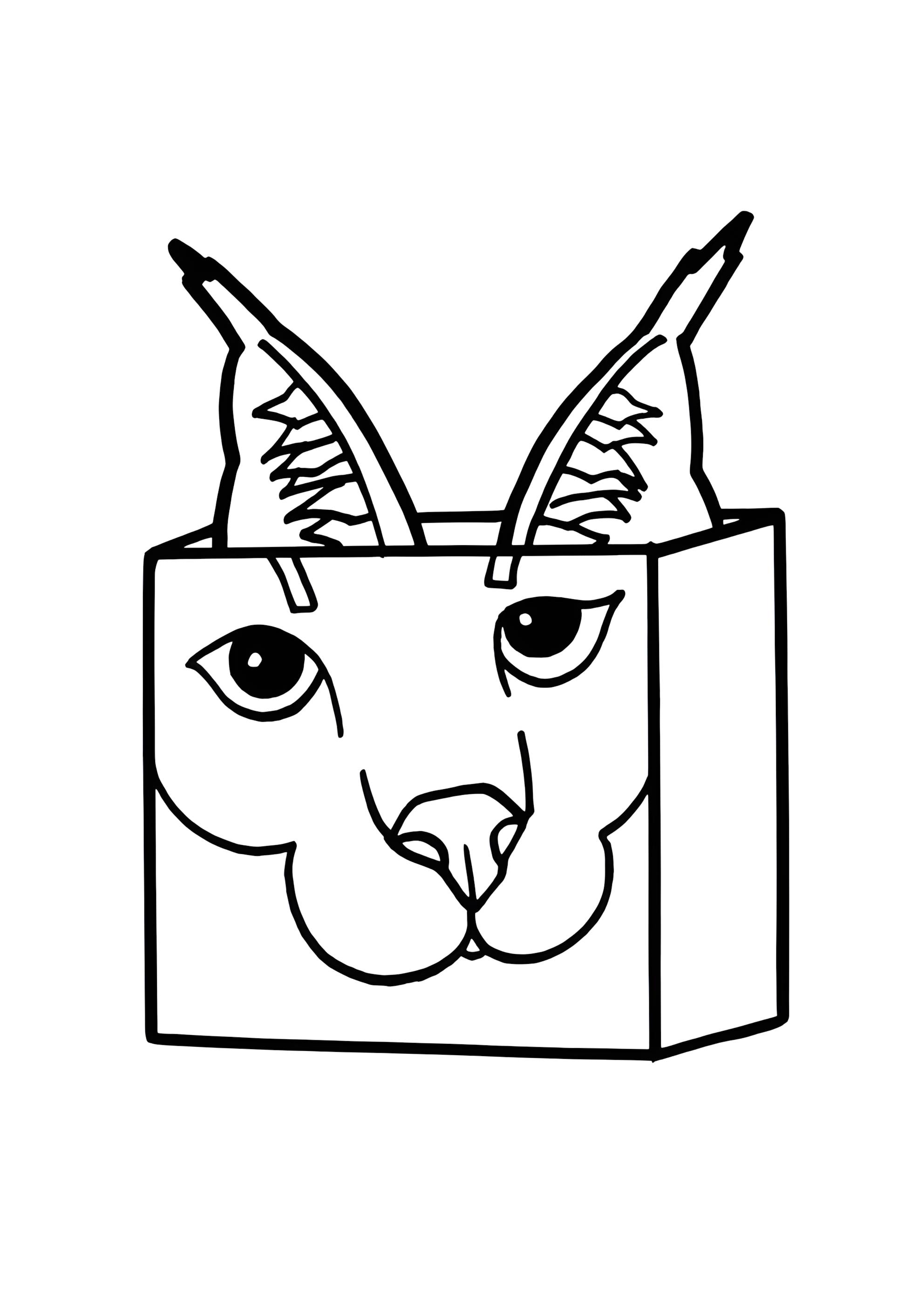 Раскраска Флоппа