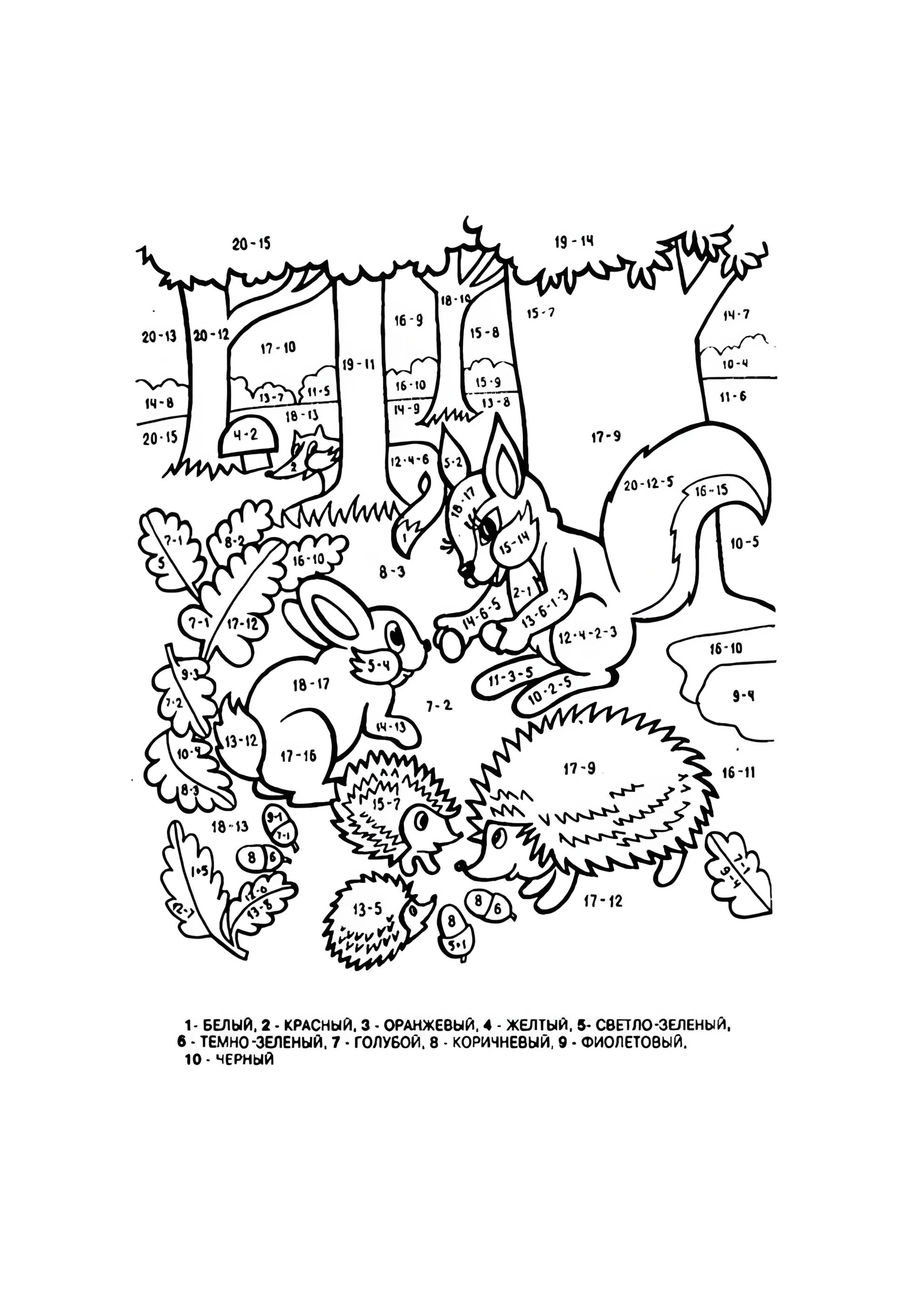 Раскраска Математика задание