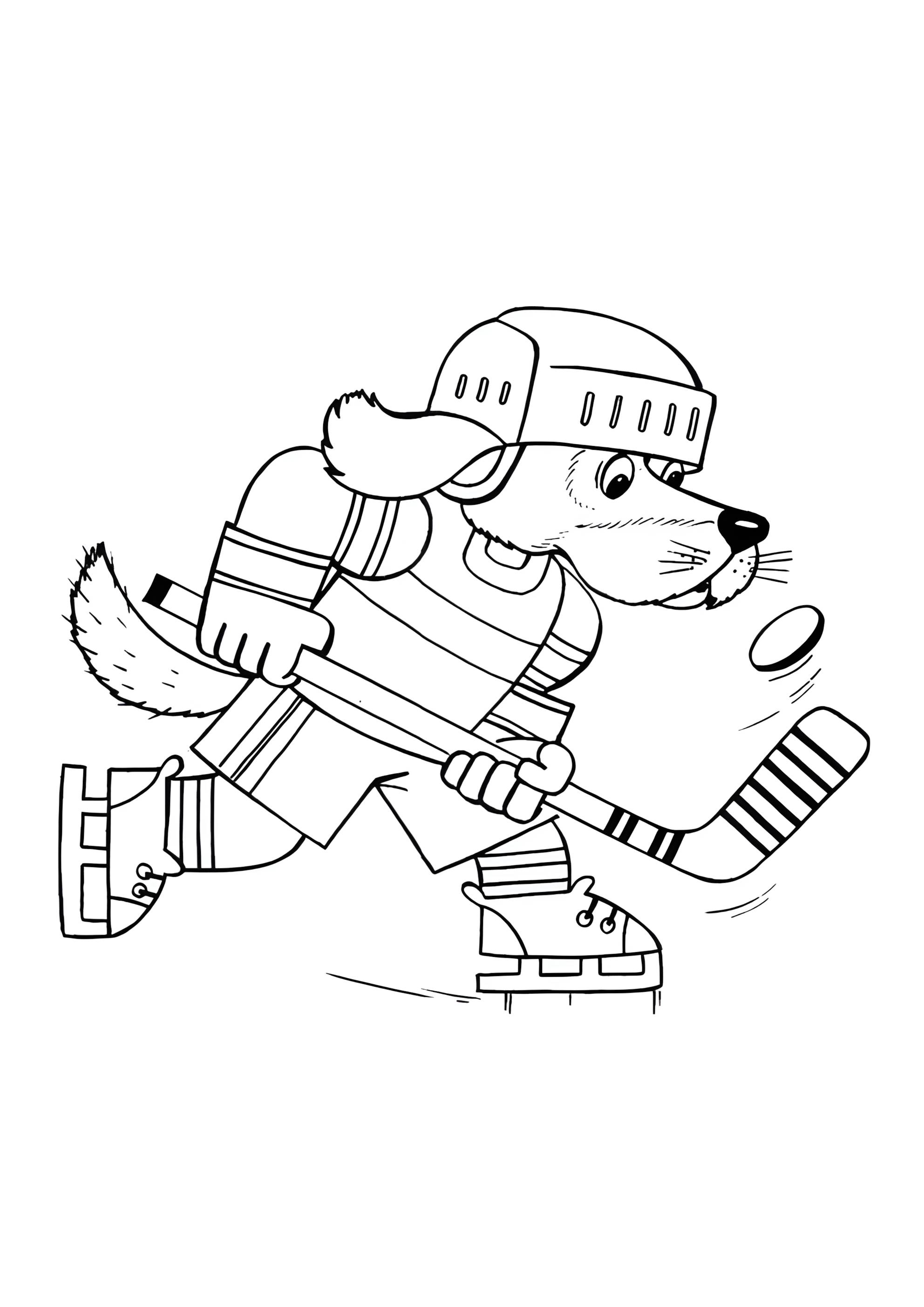 Раскраска Хоккей собачка