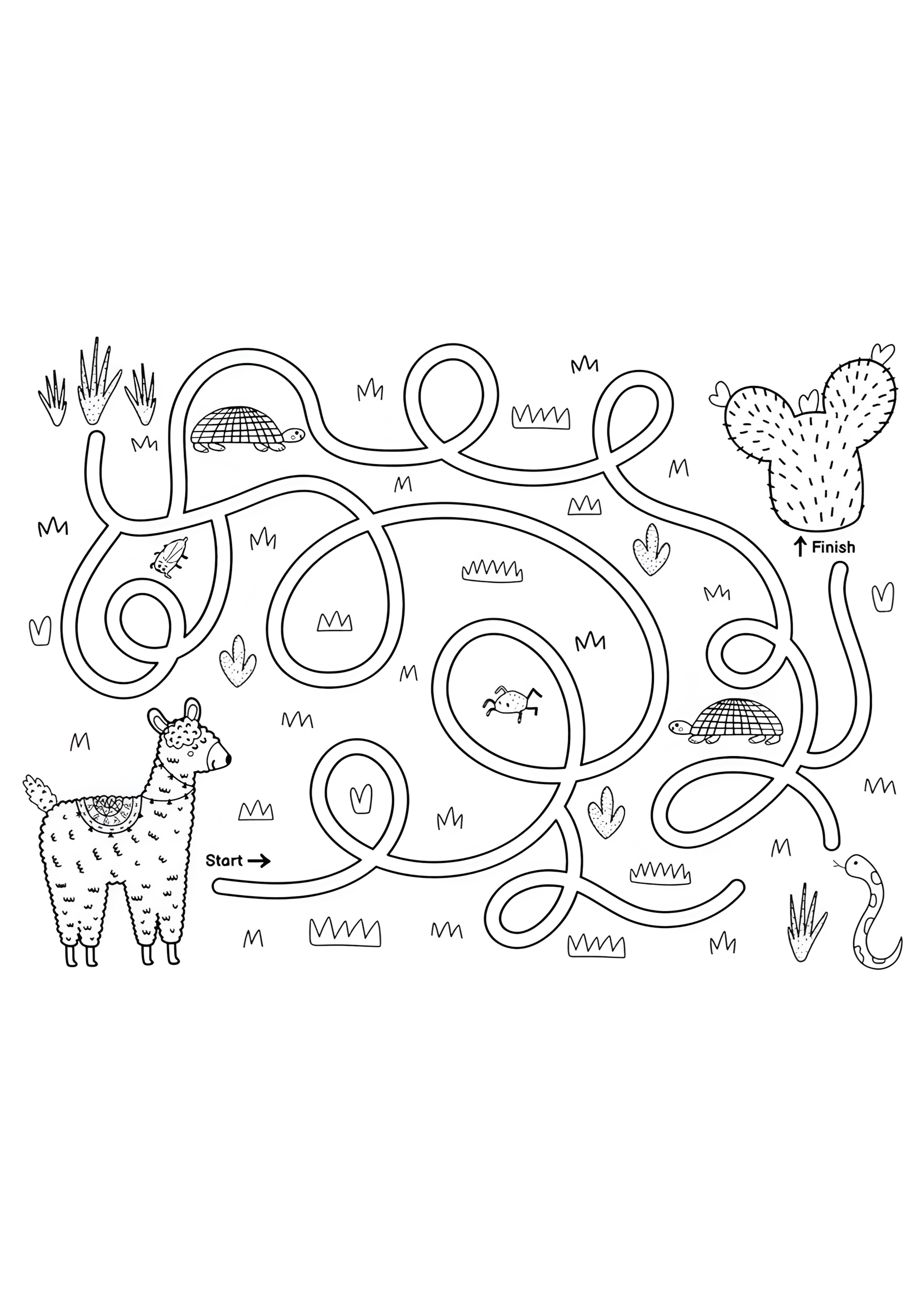 Раскраска Лабиринт и кактус