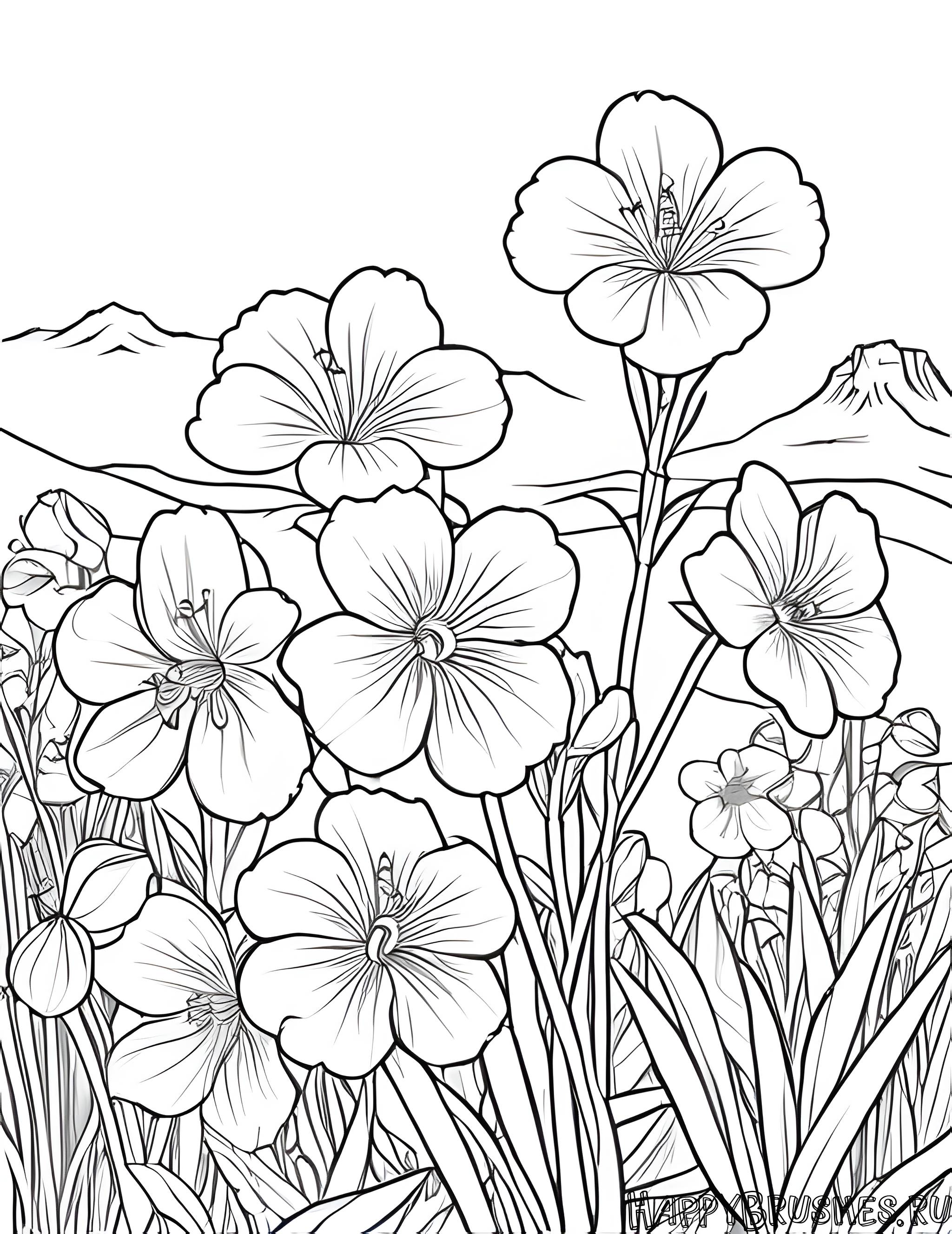 Раскраска Первоцвет 11