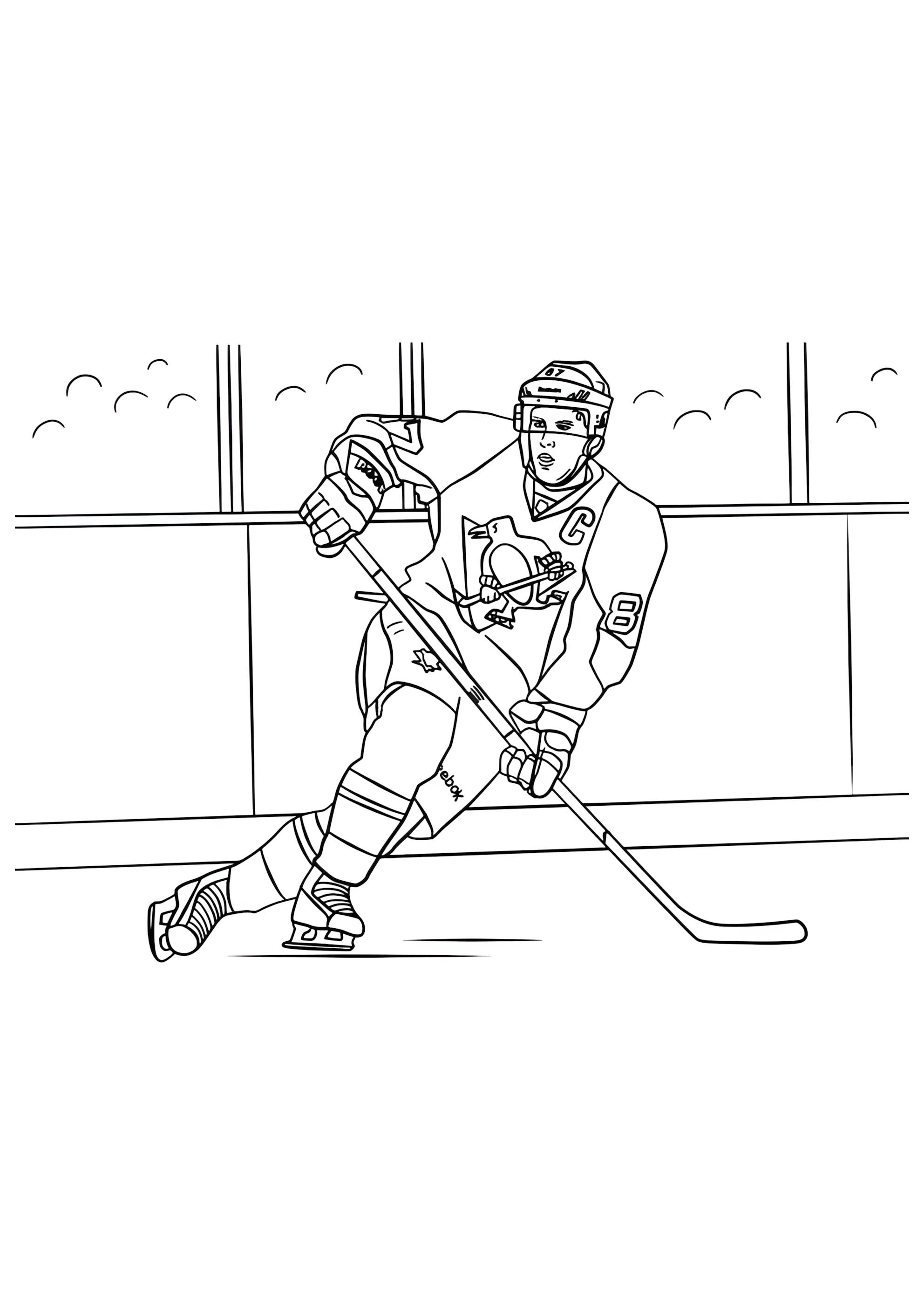 Раскраска Профи хоккеист