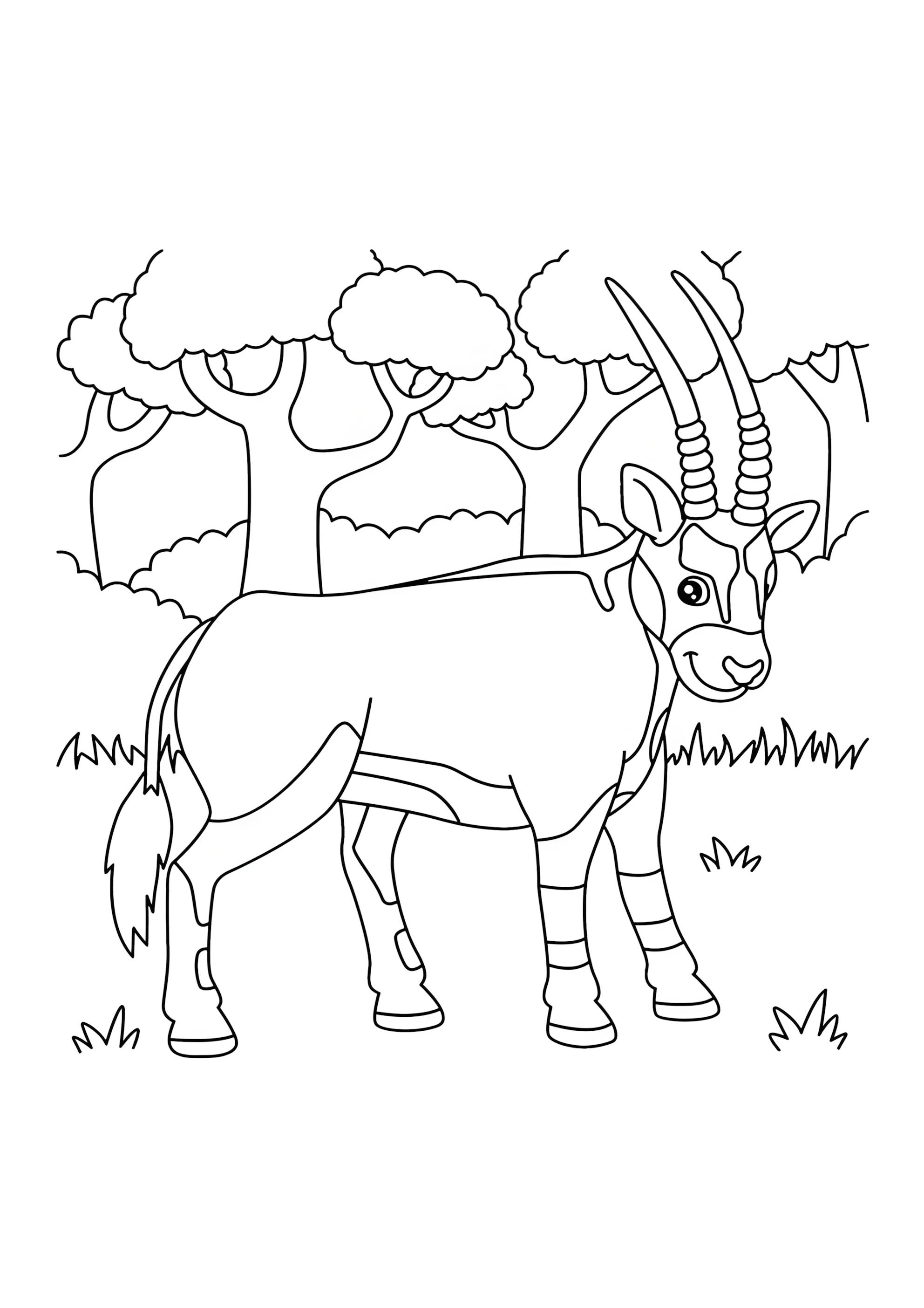 Раскраска Антилопа Орикс зоопарк