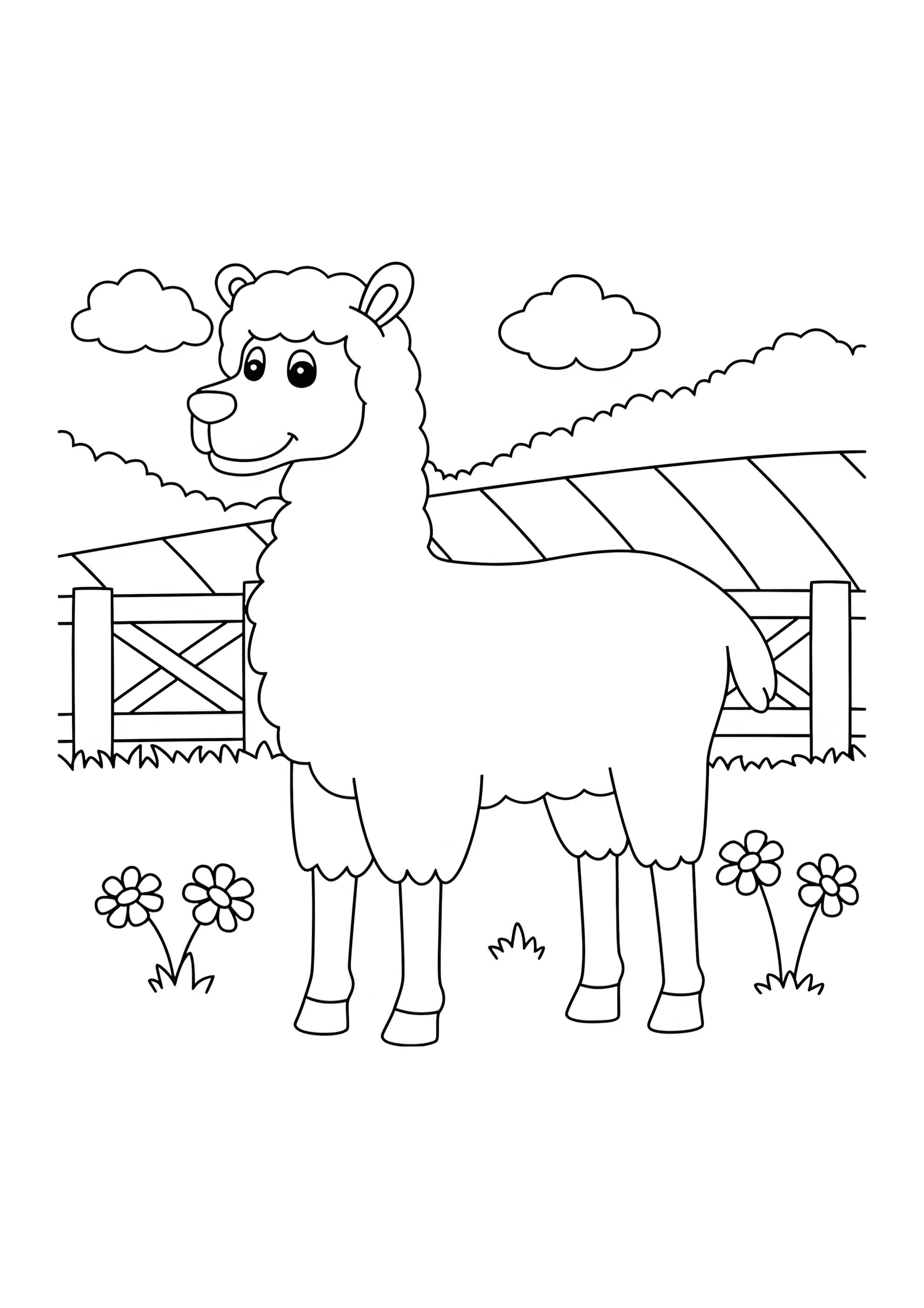 Раскраска Лама зоопарк