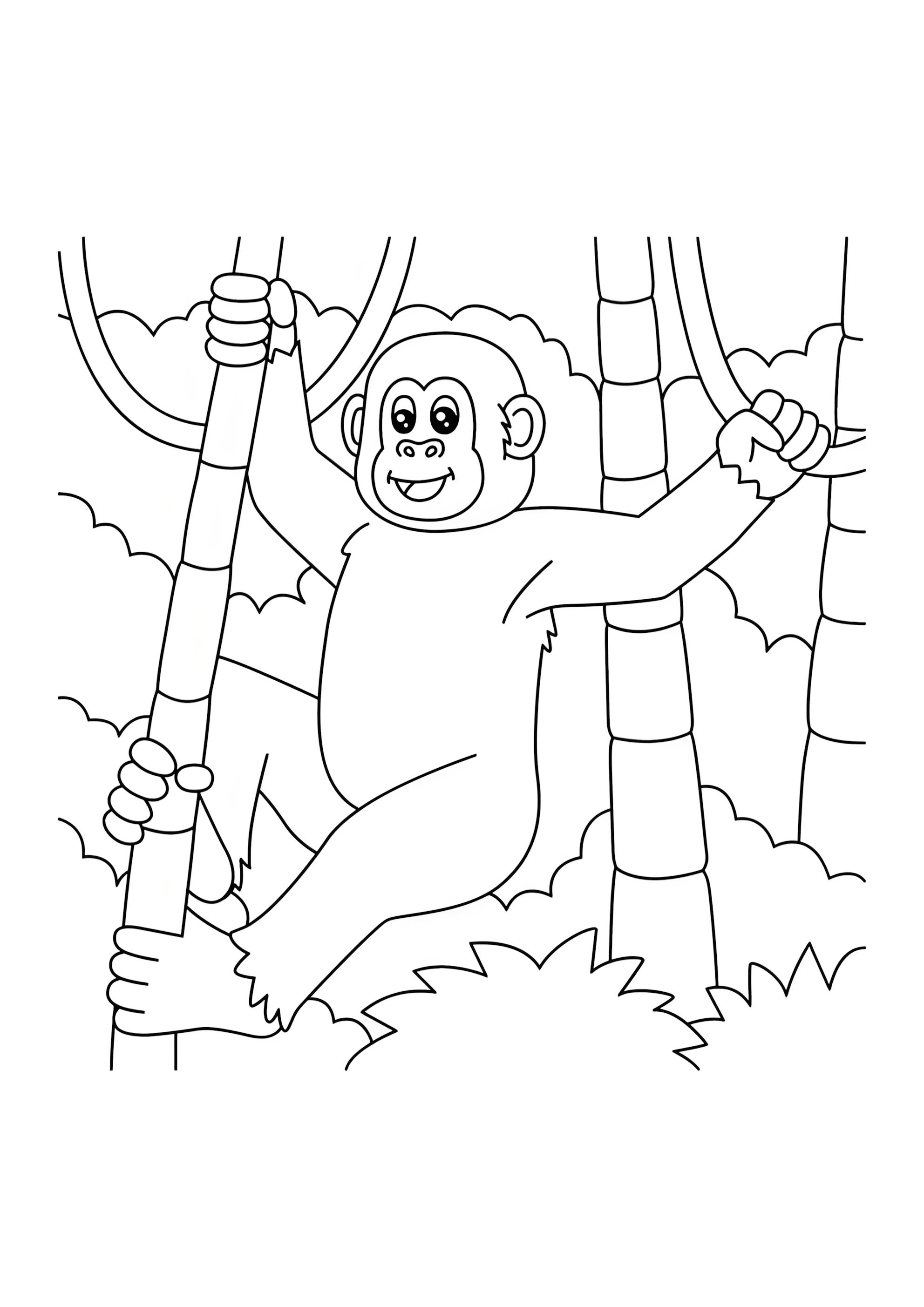 Раскраска Шимпанзе зоопарк