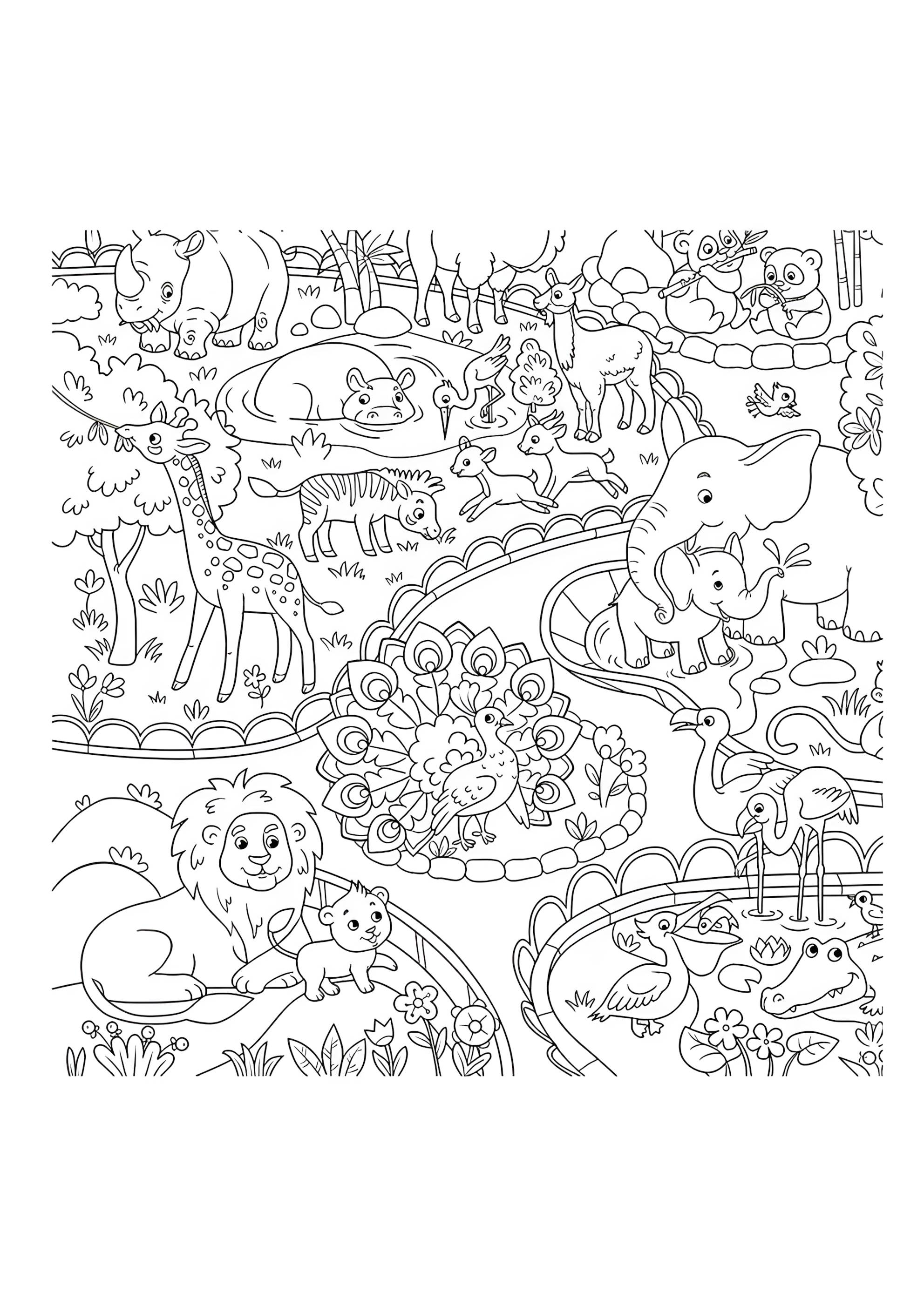 Раскраска Зоопарк красивые животные