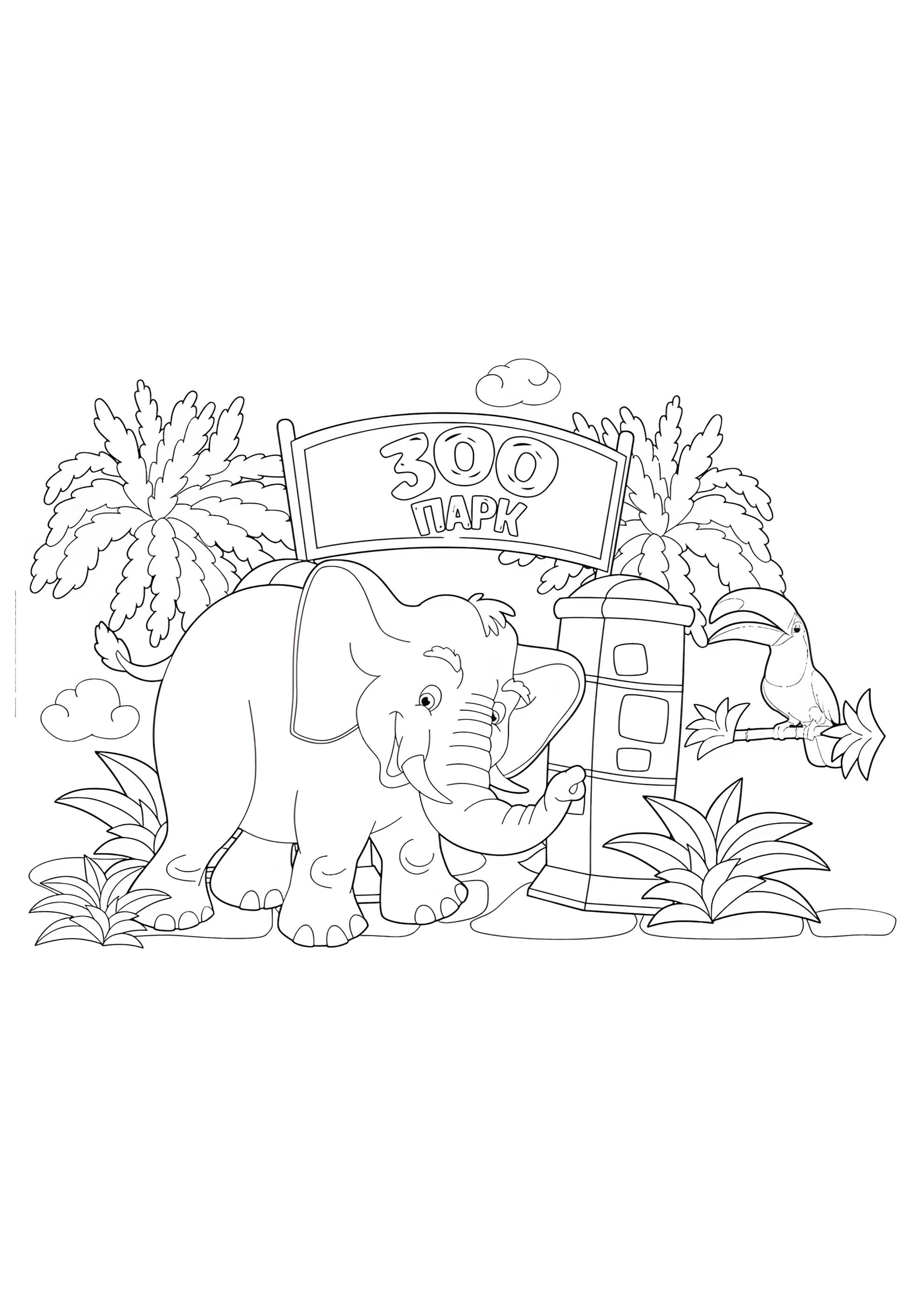 Раскраска Зоопарк слон