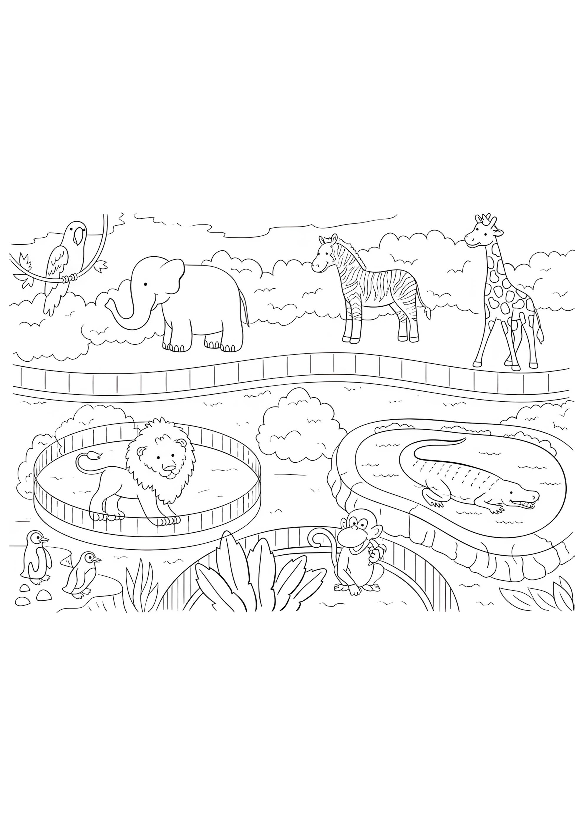 Раскраска Зоопарк вольеры