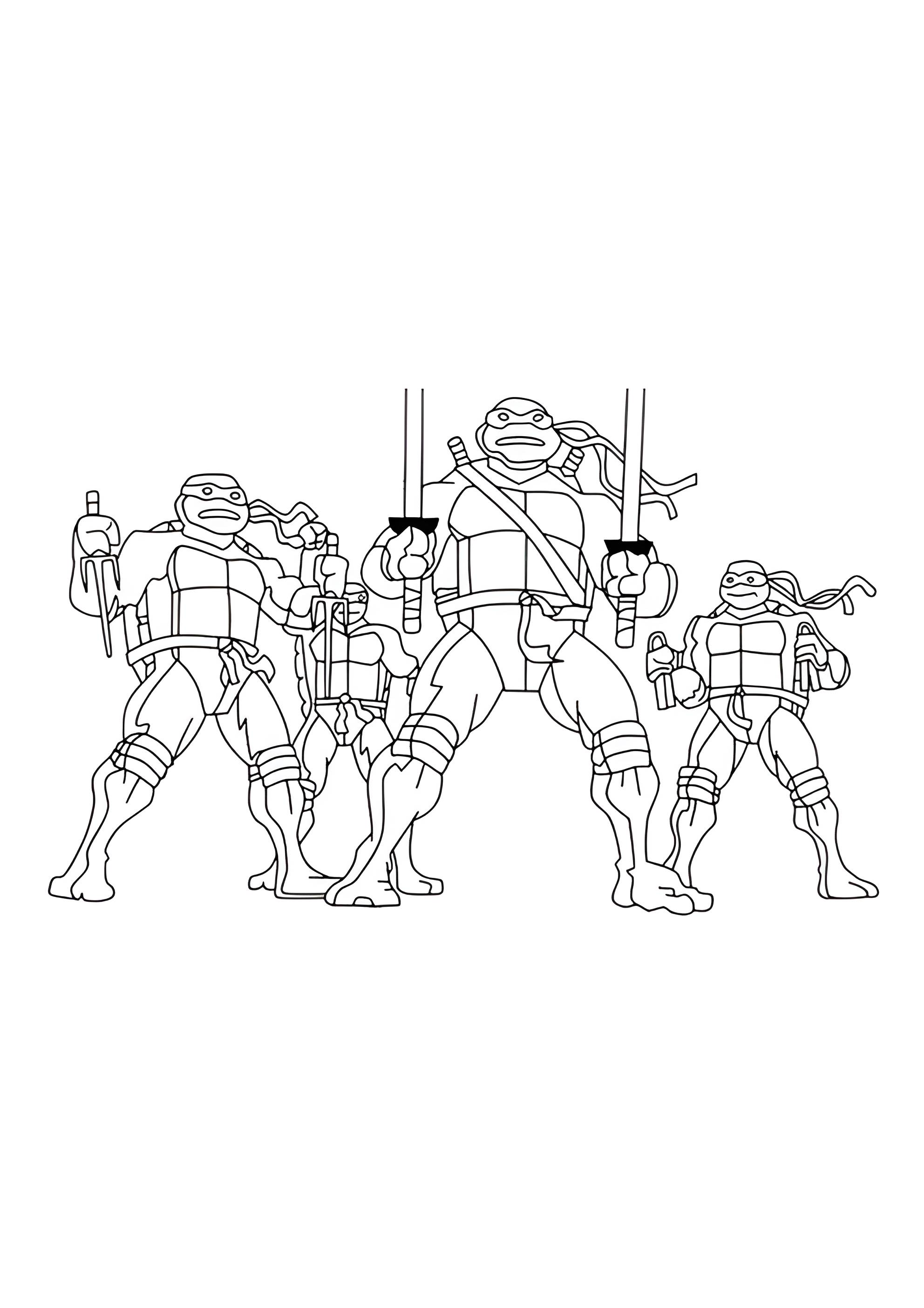 Раскраска Черепашки в сборе