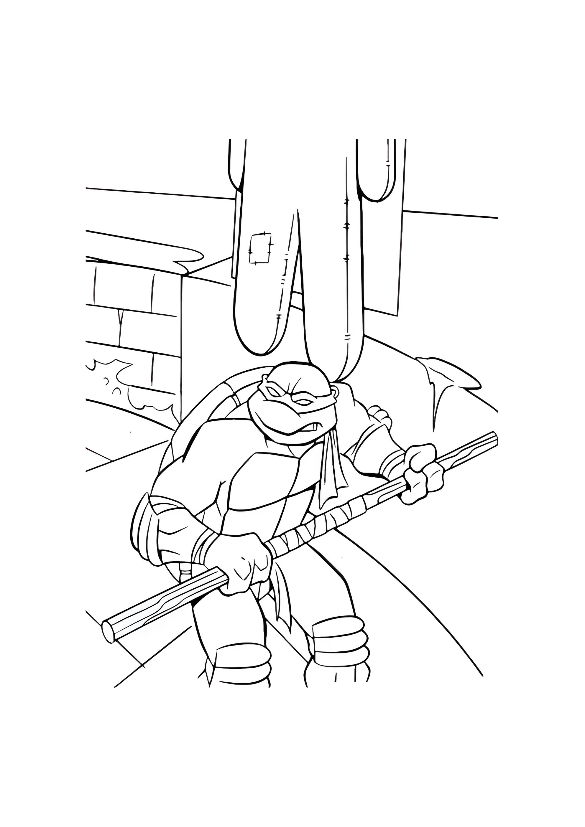 Раскраска Донателло тренируется