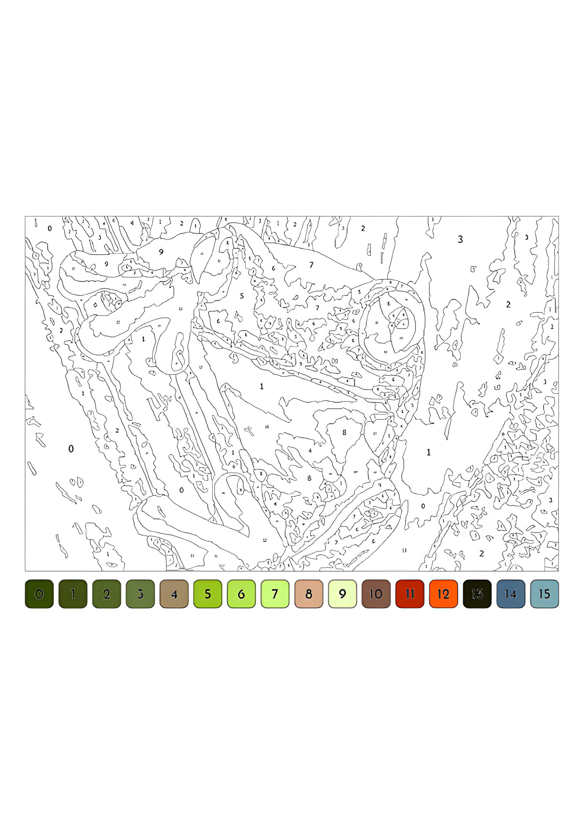 Раскраска Древесная лягушка по номерам для взрослых