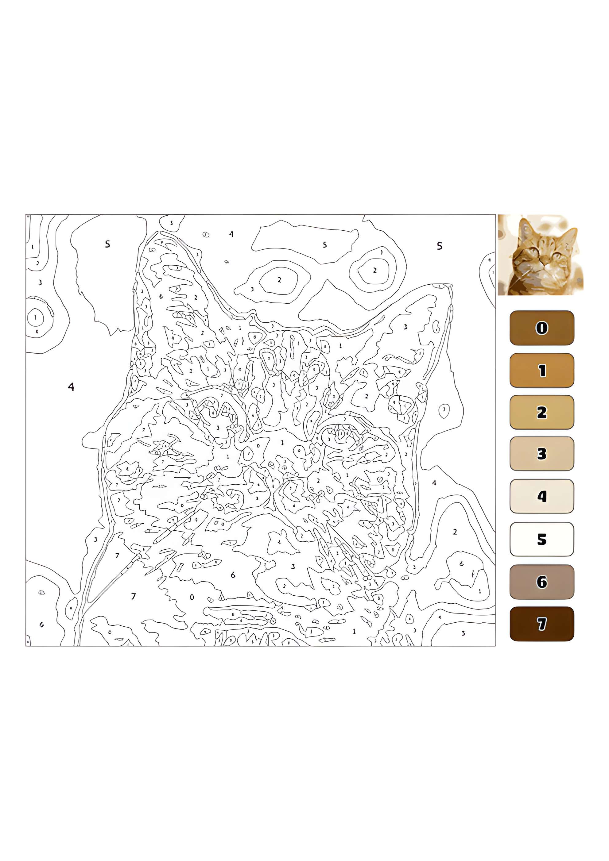 Раскраска Кот по номерам для взрослых