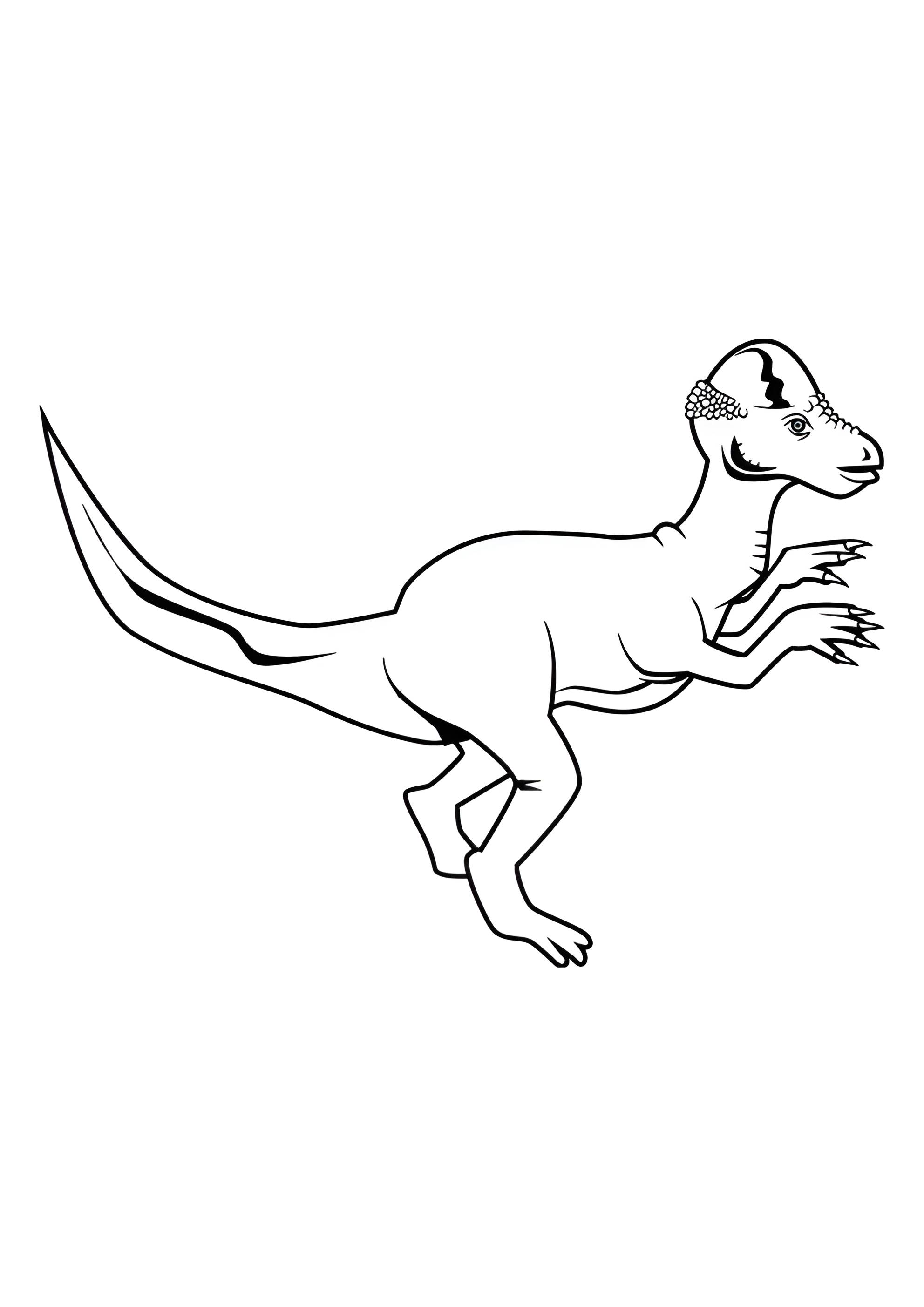Раскраска Пахицефалозавр