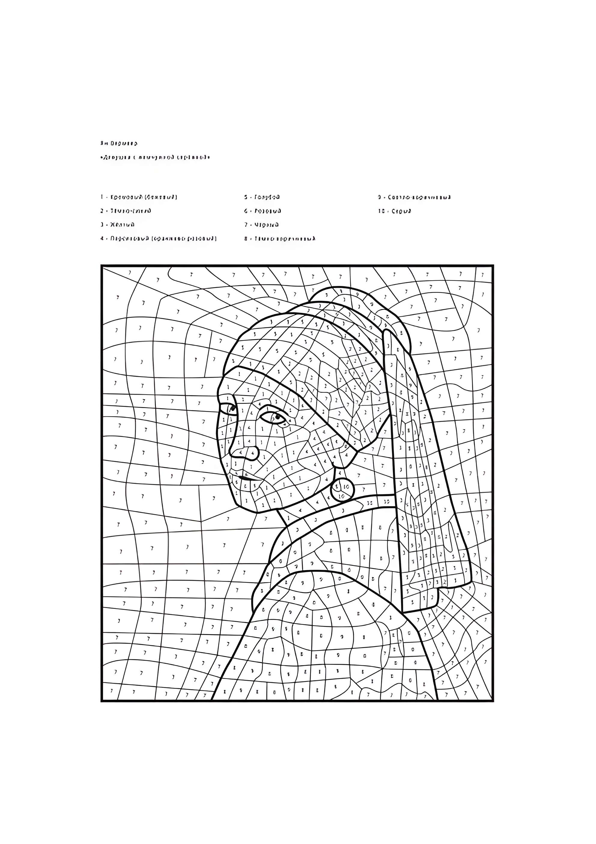 Раскраска По номерам Девушка с жемчужной серёжкой (Ян Вермеер)