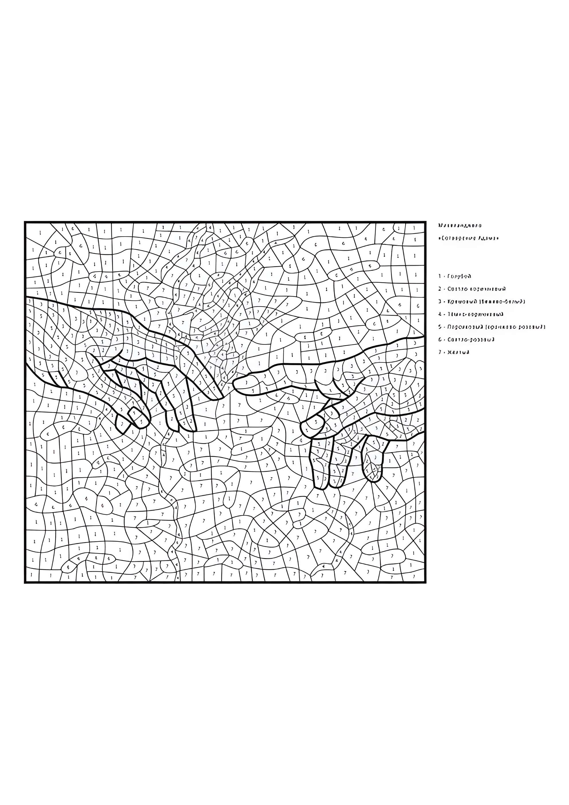 Раскраска По номерам Сотворение Адама (Микеланджело)
