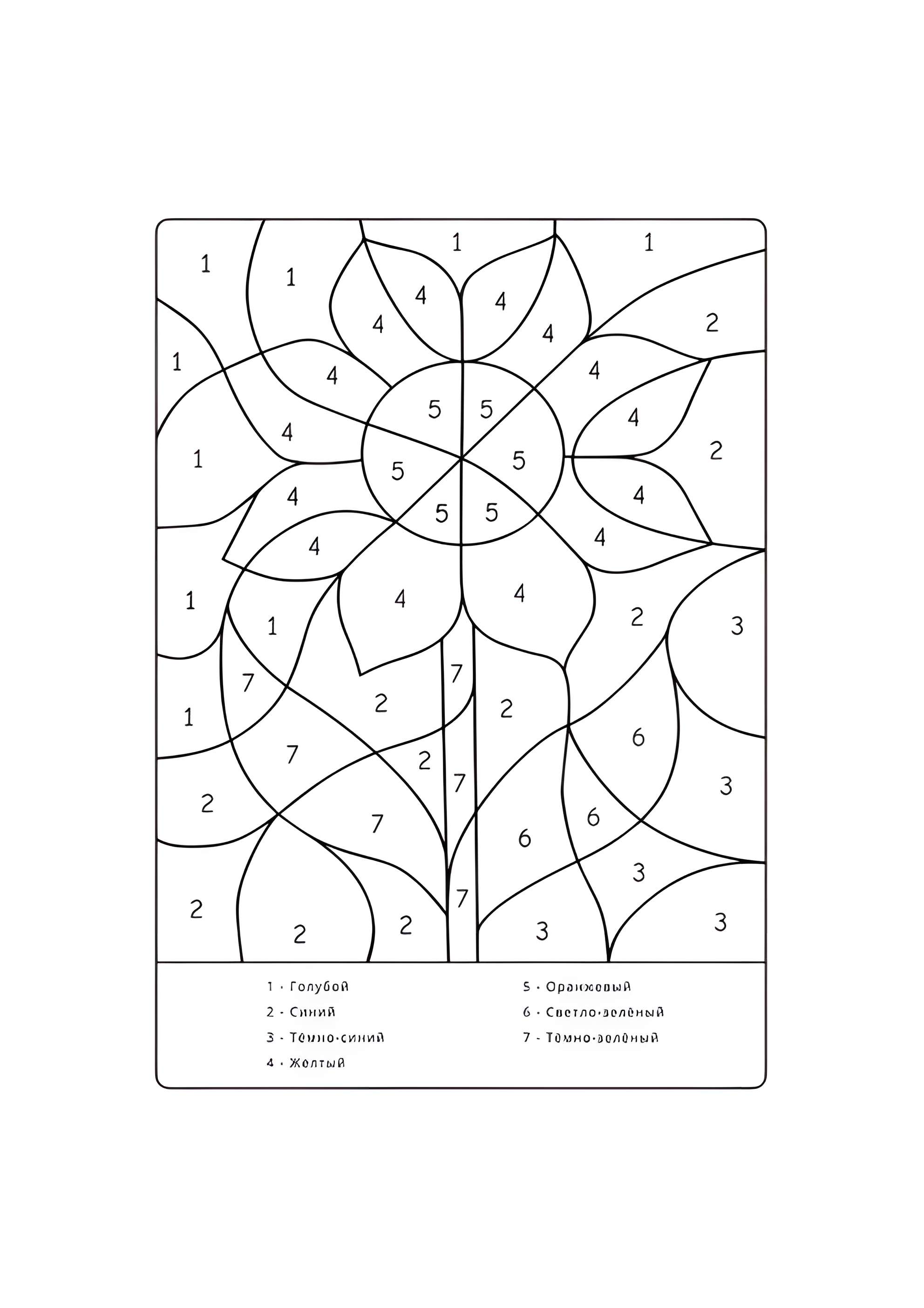 Раскраска Подсолнух по номерам