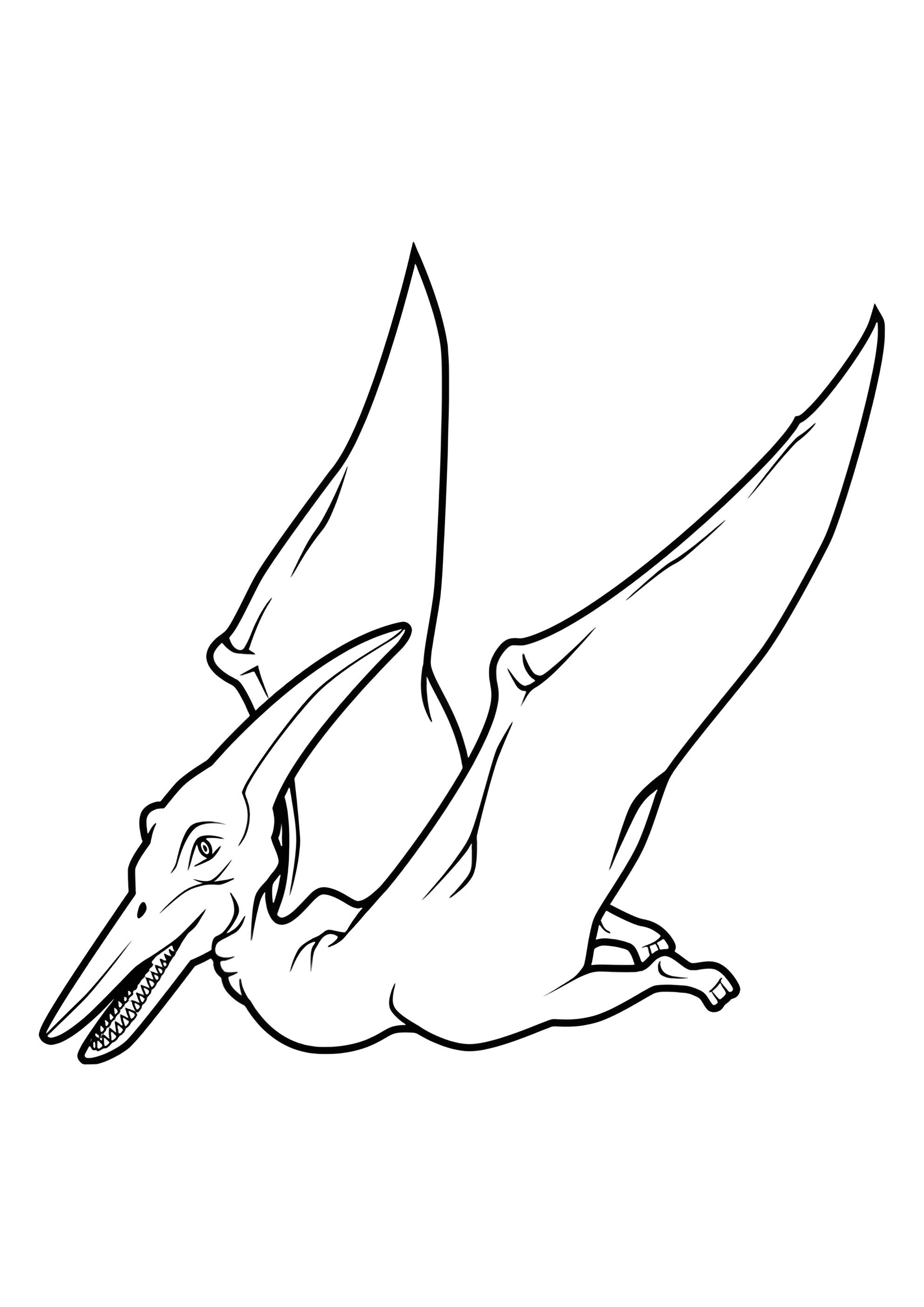 Раскраска Птеранодон