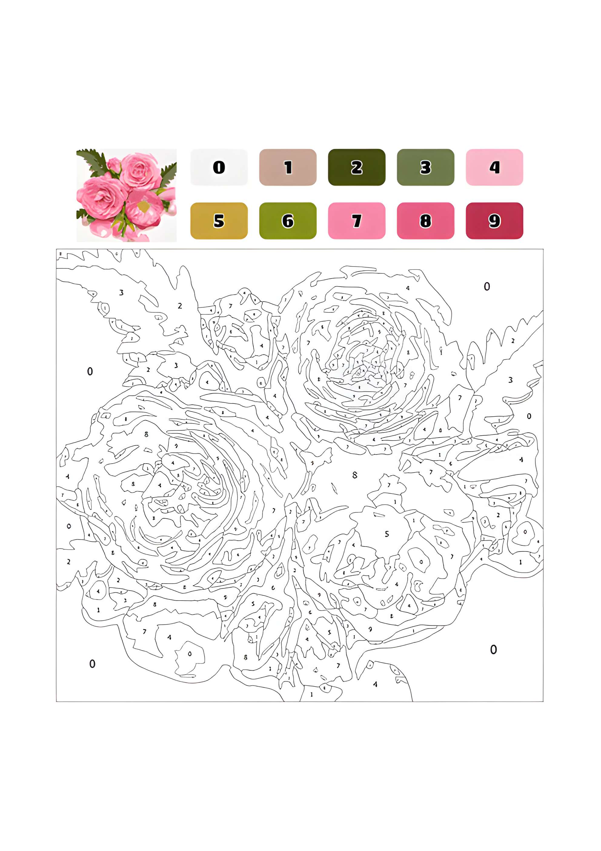 Раскраска Розы по номерам для взрослых