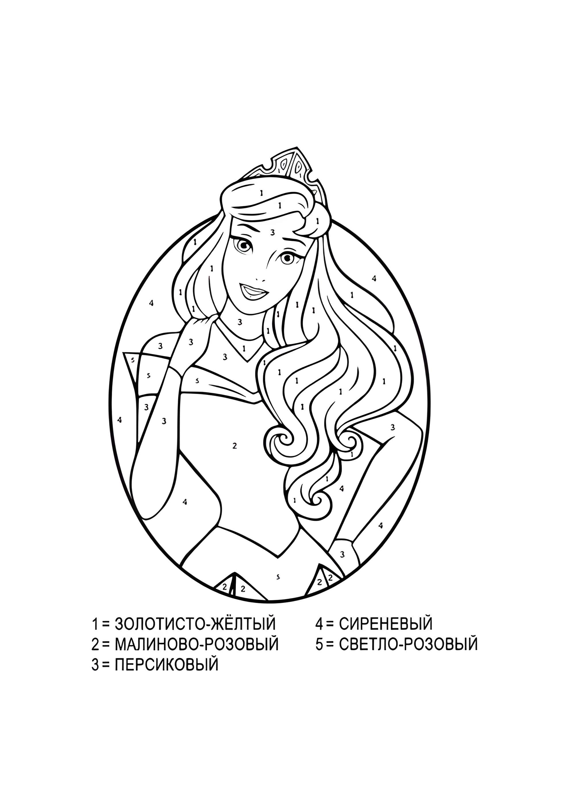 Раскраска Спящая красавица по номерам