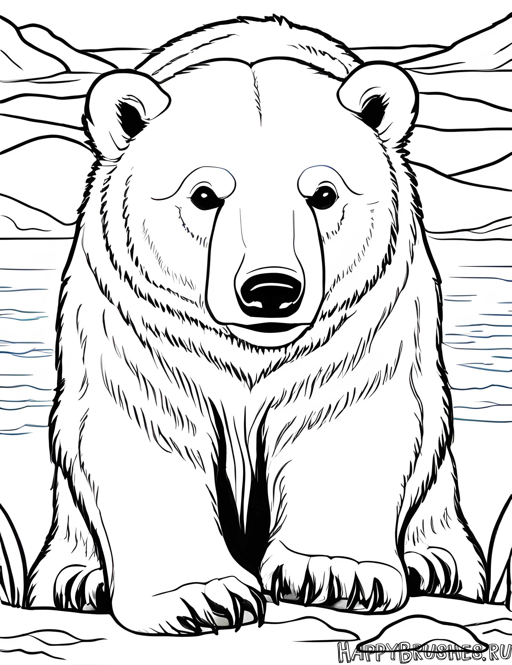 Раскраска Белый медведь 23