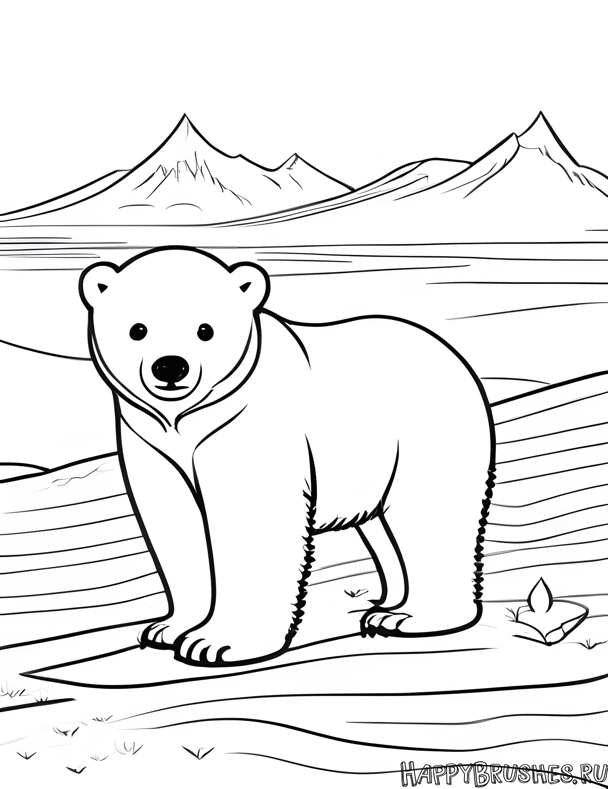 Раскраска Белый медведь 5