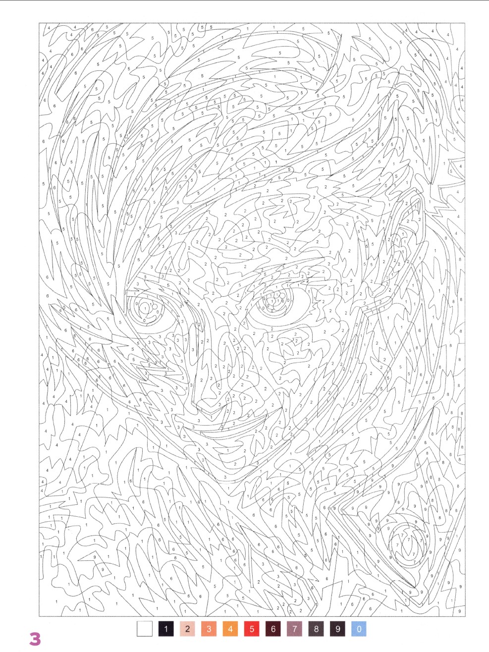 Раскраска Аниме по номерам 2