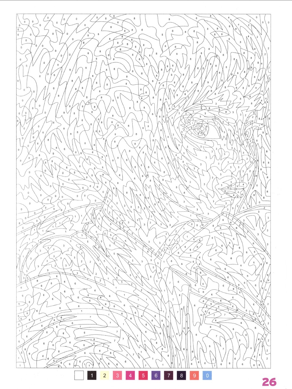 Раскраска Аниме по номерам 26