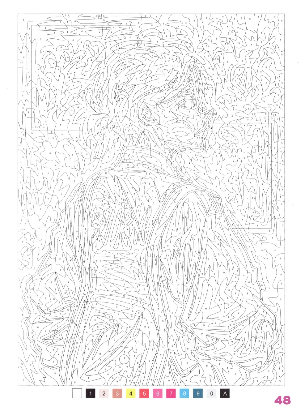 Раскраска Аниме по номерам 48