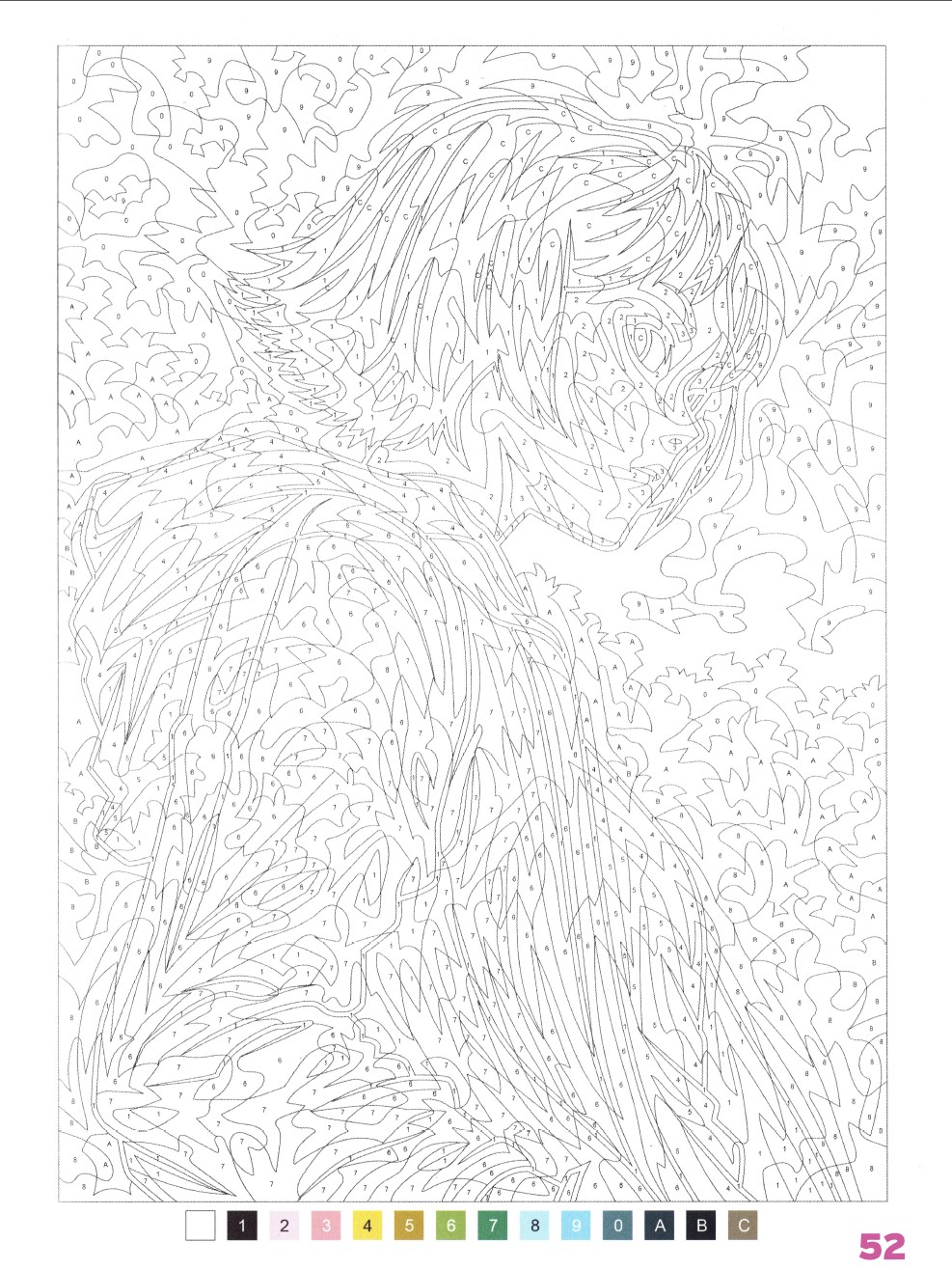 Раскраска Аниме по номерам 52