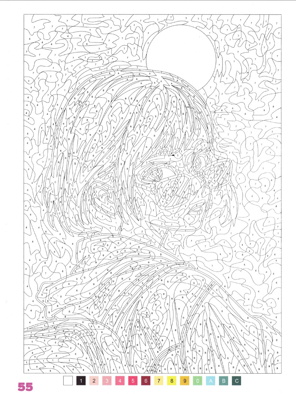 Раскраска Аниме по номерам 55