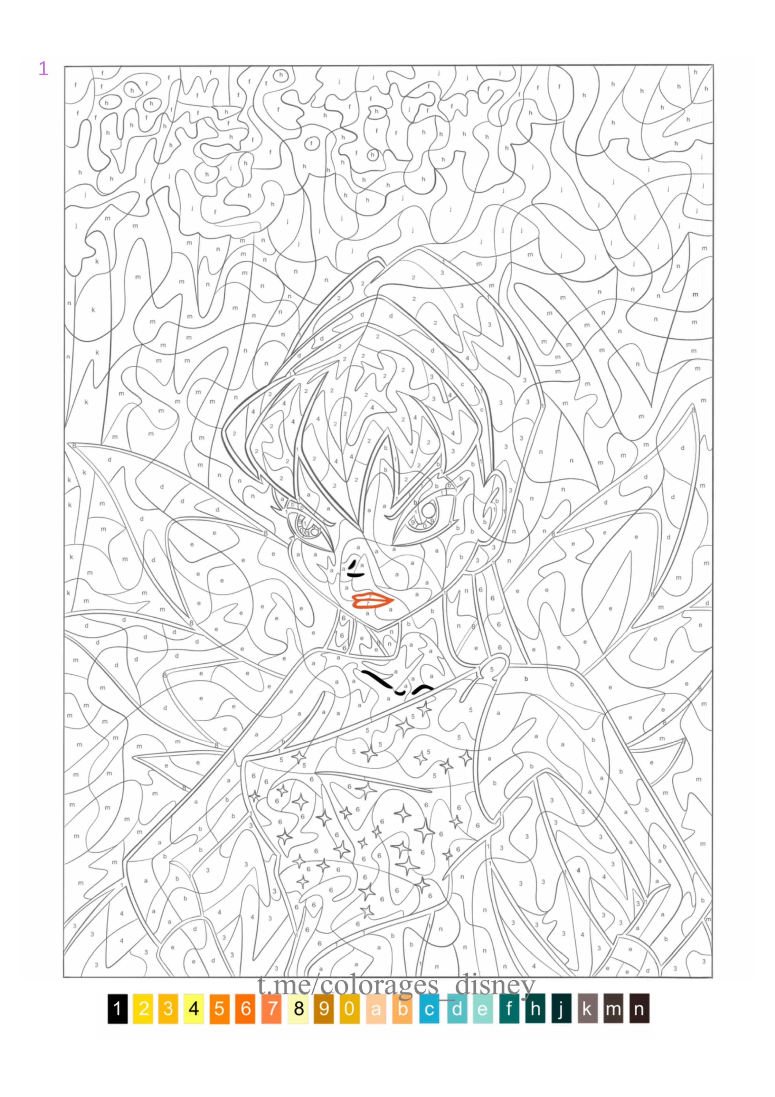 Раскраска Винкс по номерам 1