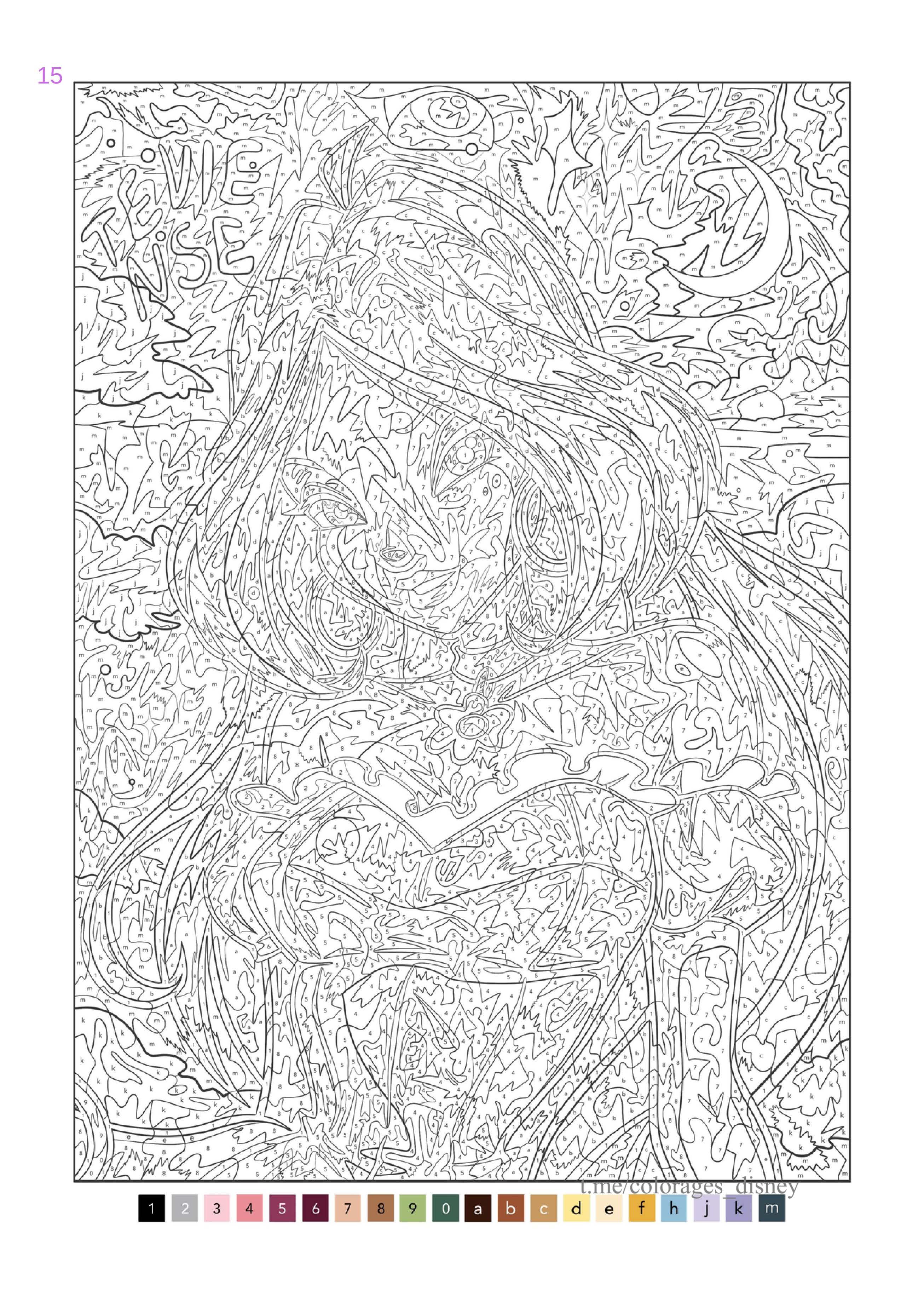 Раскраска Винкс по номерам 15