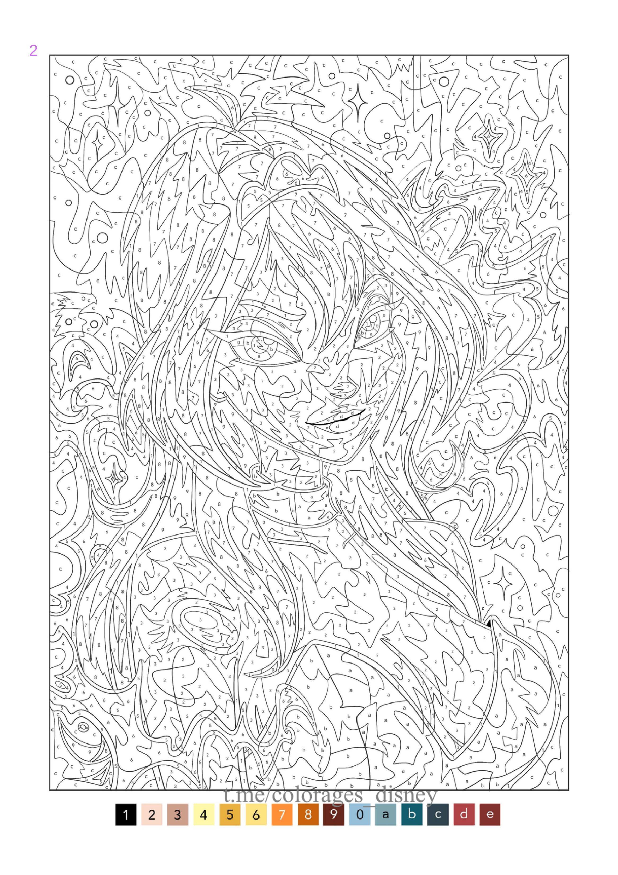 Раскраска Винкс по номерам 2