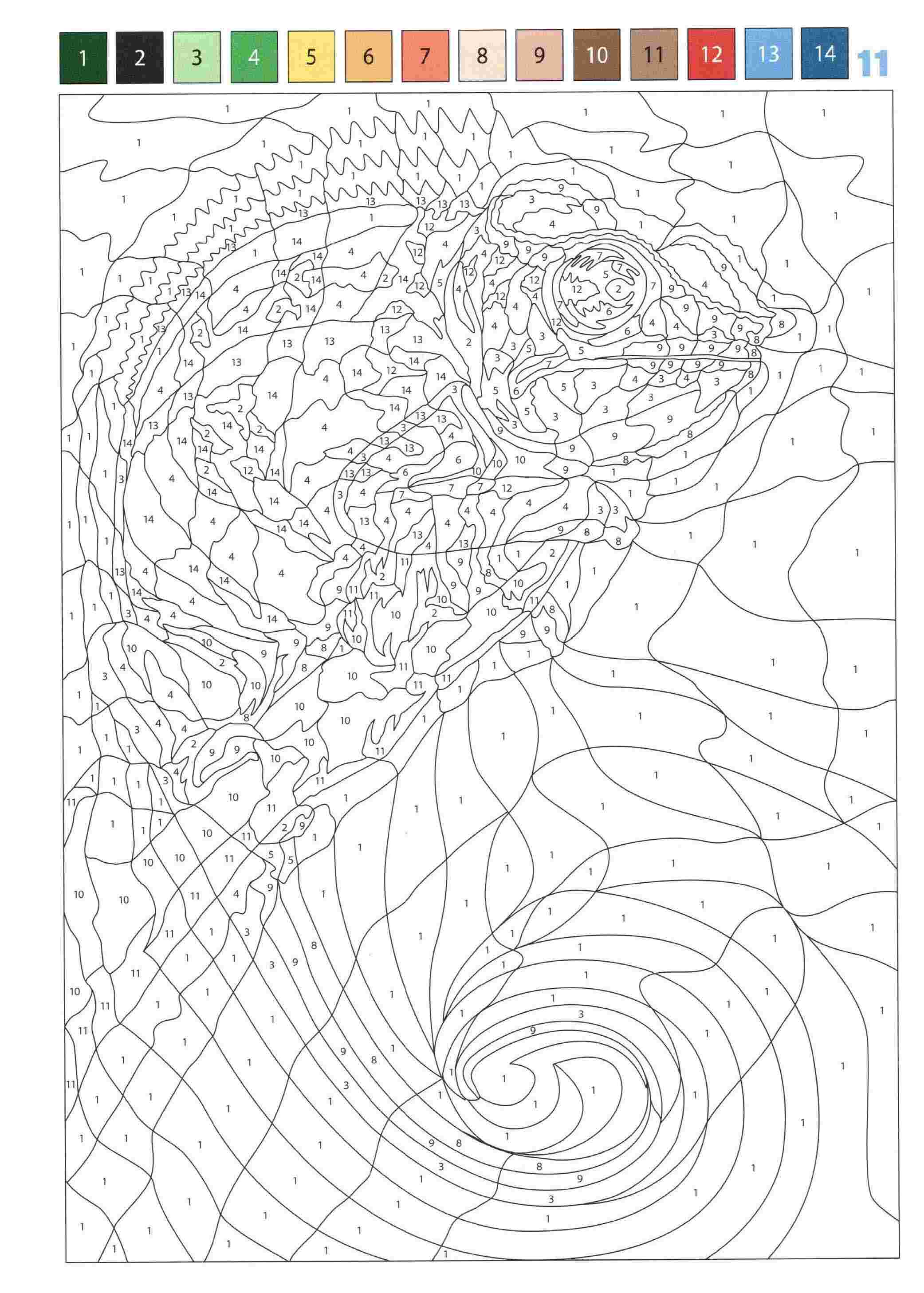 Раскраска Животные по номерам 11