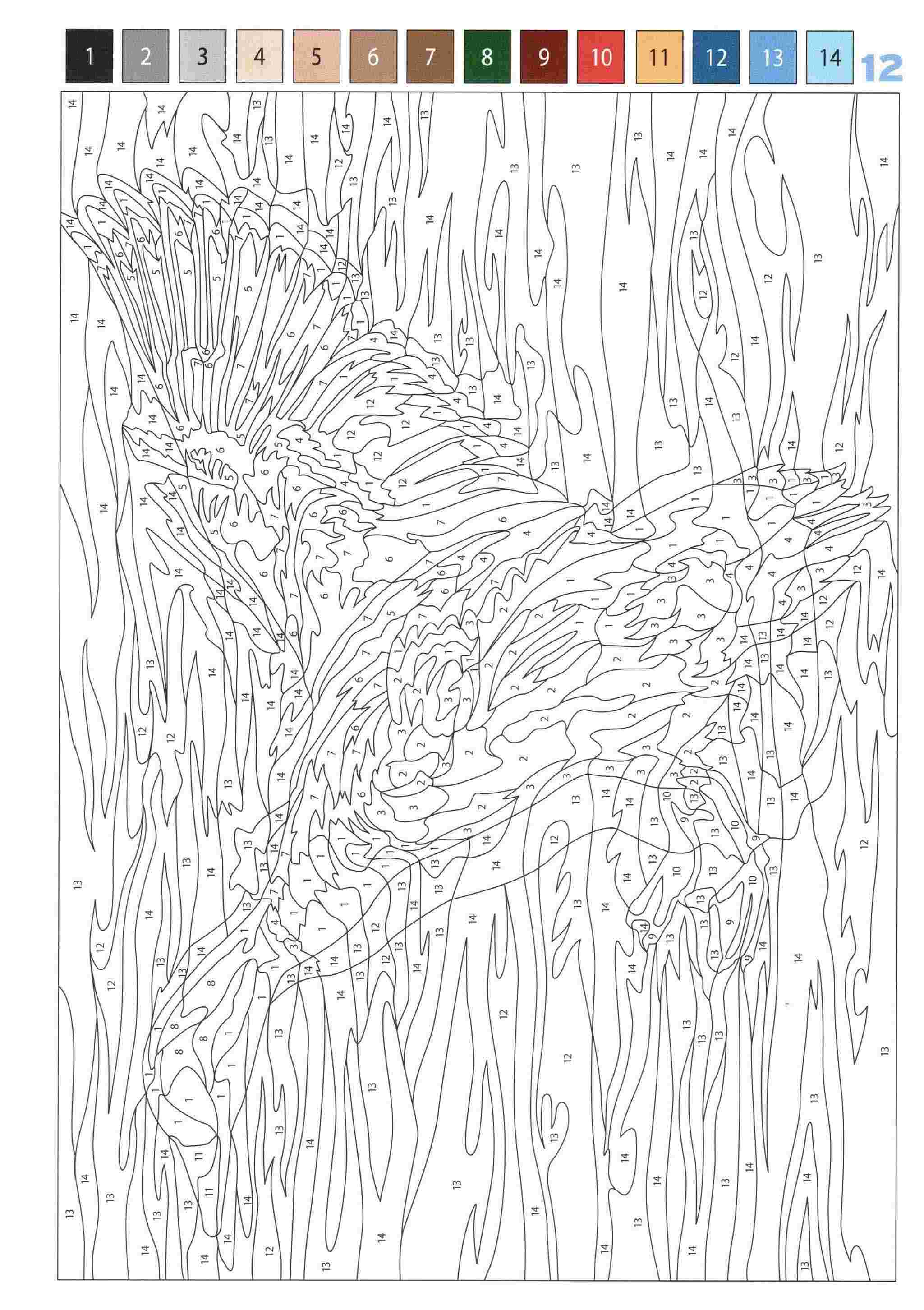 Раскраска Животные по номерам 12