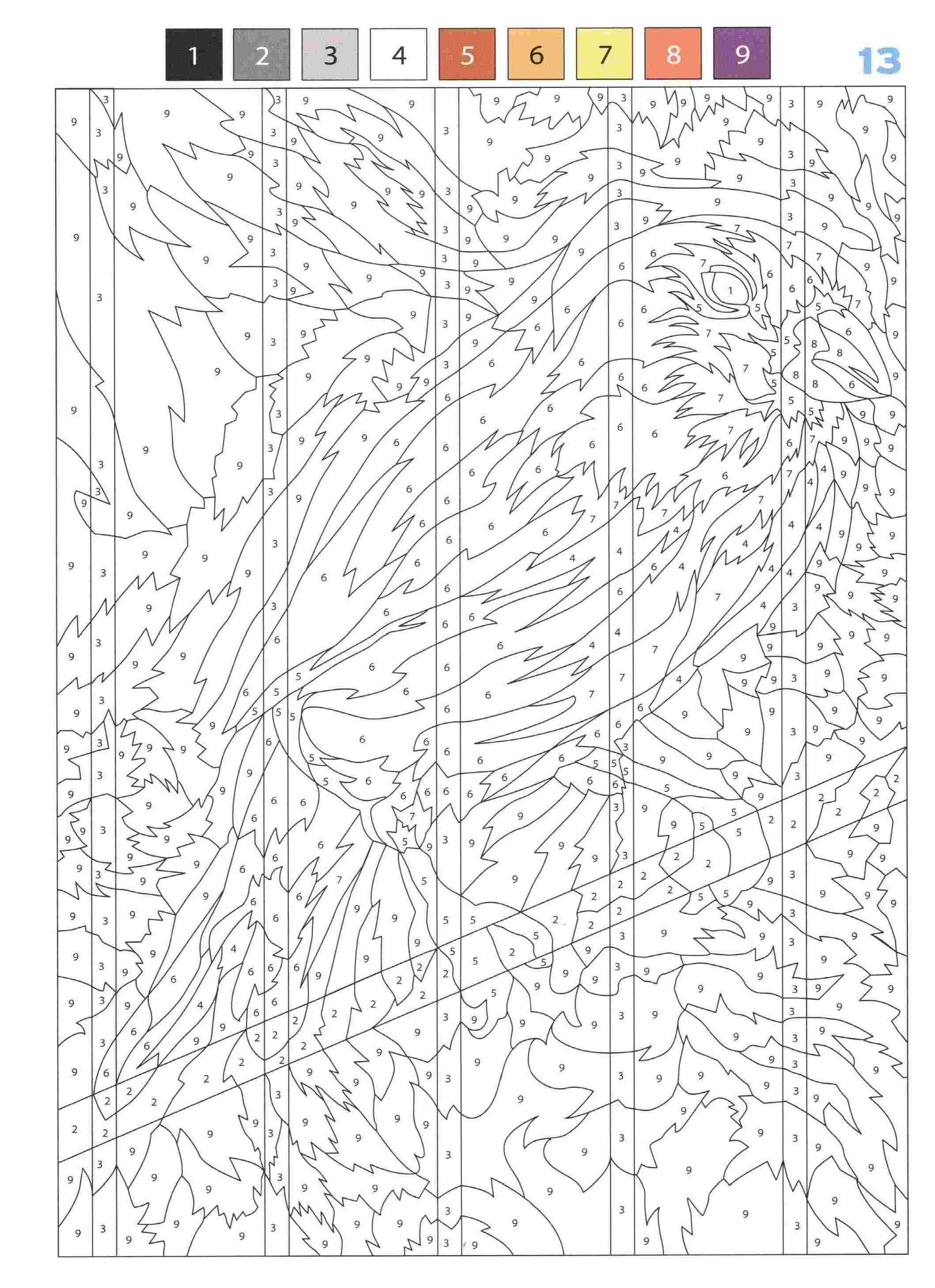 Раскраска Животные по номерам 13