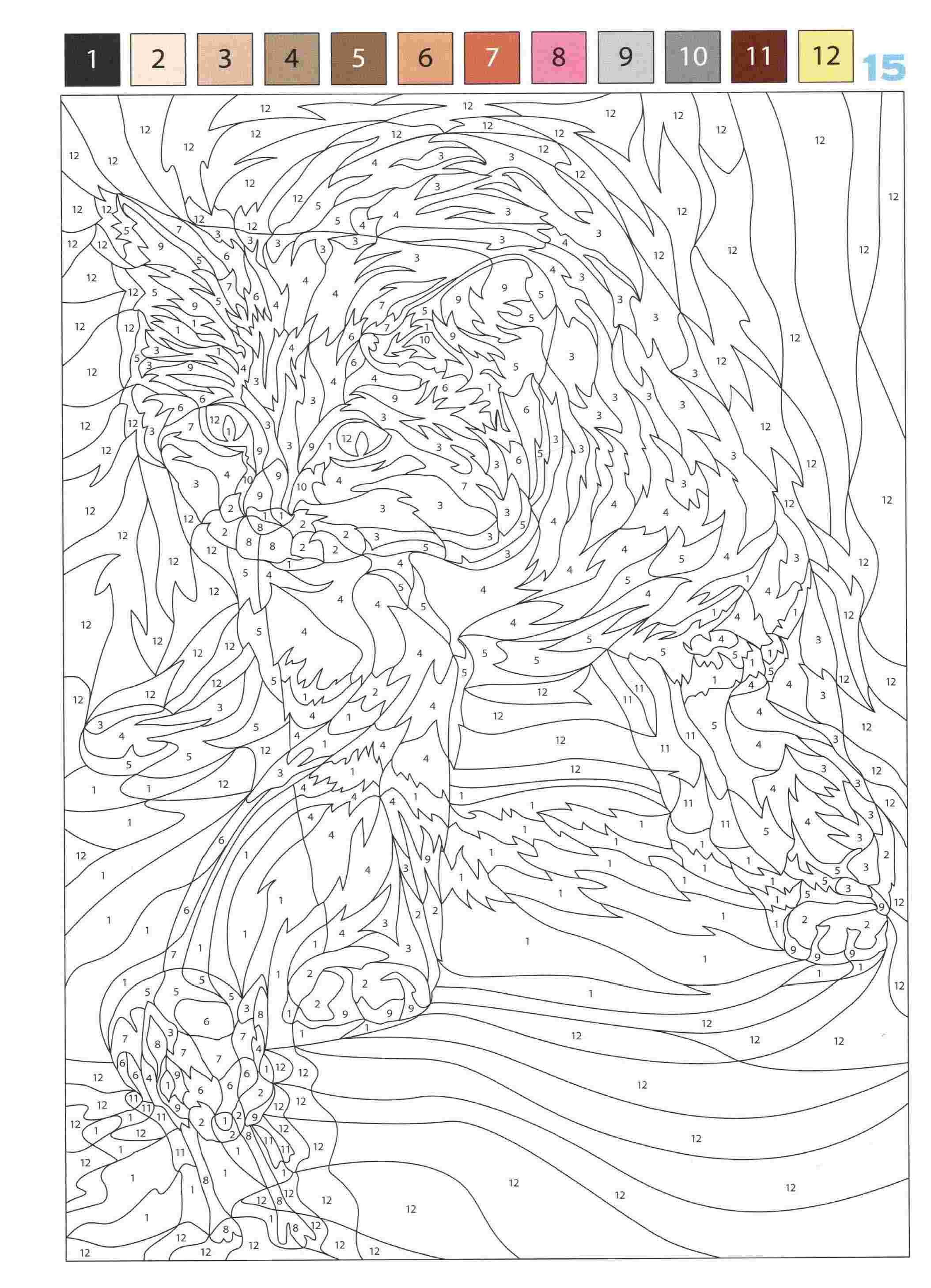 Раскраска Животные по номерам 15