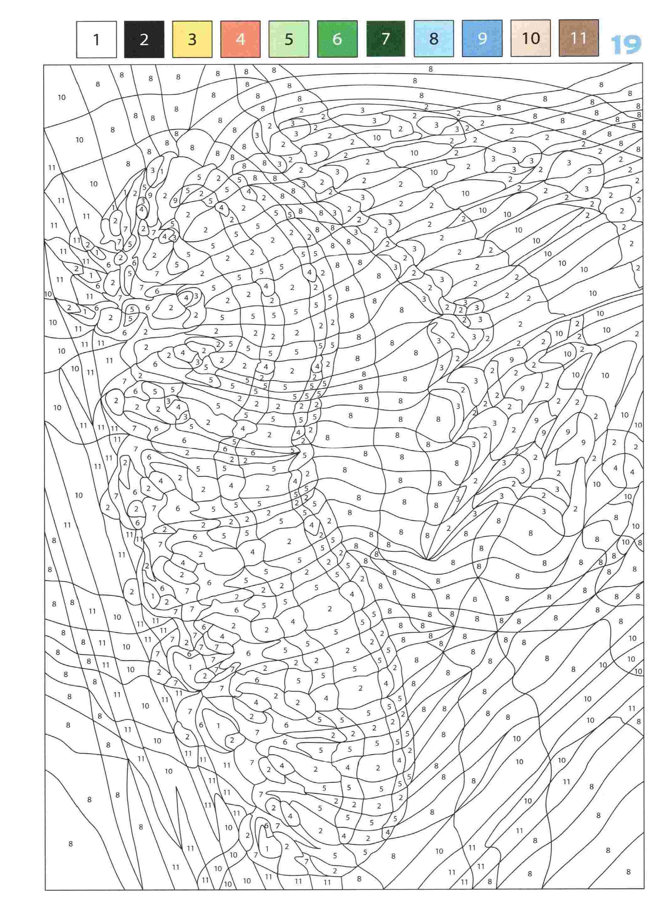 Раскраска Животные по номерам 19